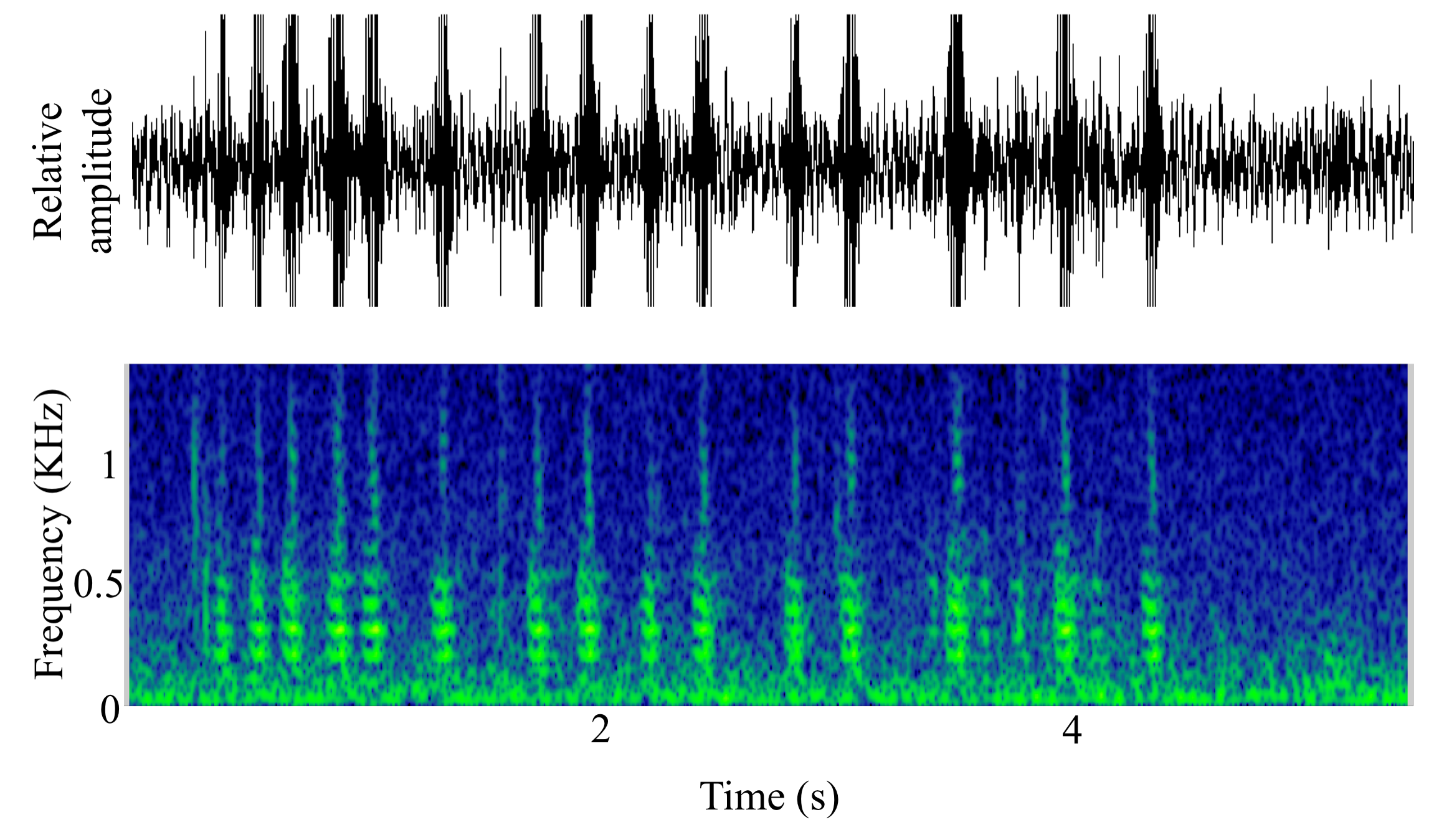 spectrogram of <i>Pollachius pollachius</i> (Pollack) making the sound Grunt