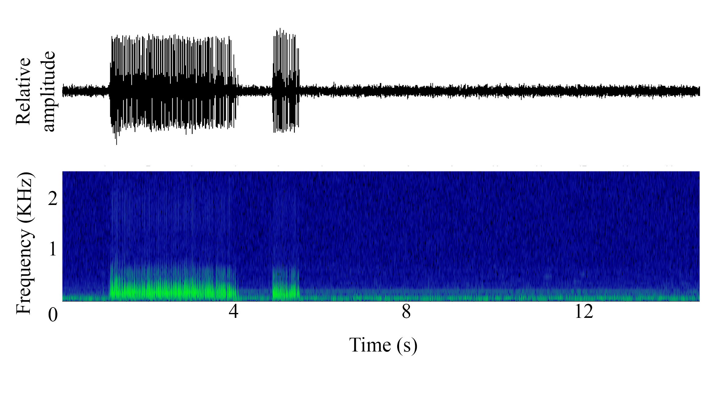 spectrogram of <i>Pomatoschistus pictus</i> (Painted goby) making the sound Drum