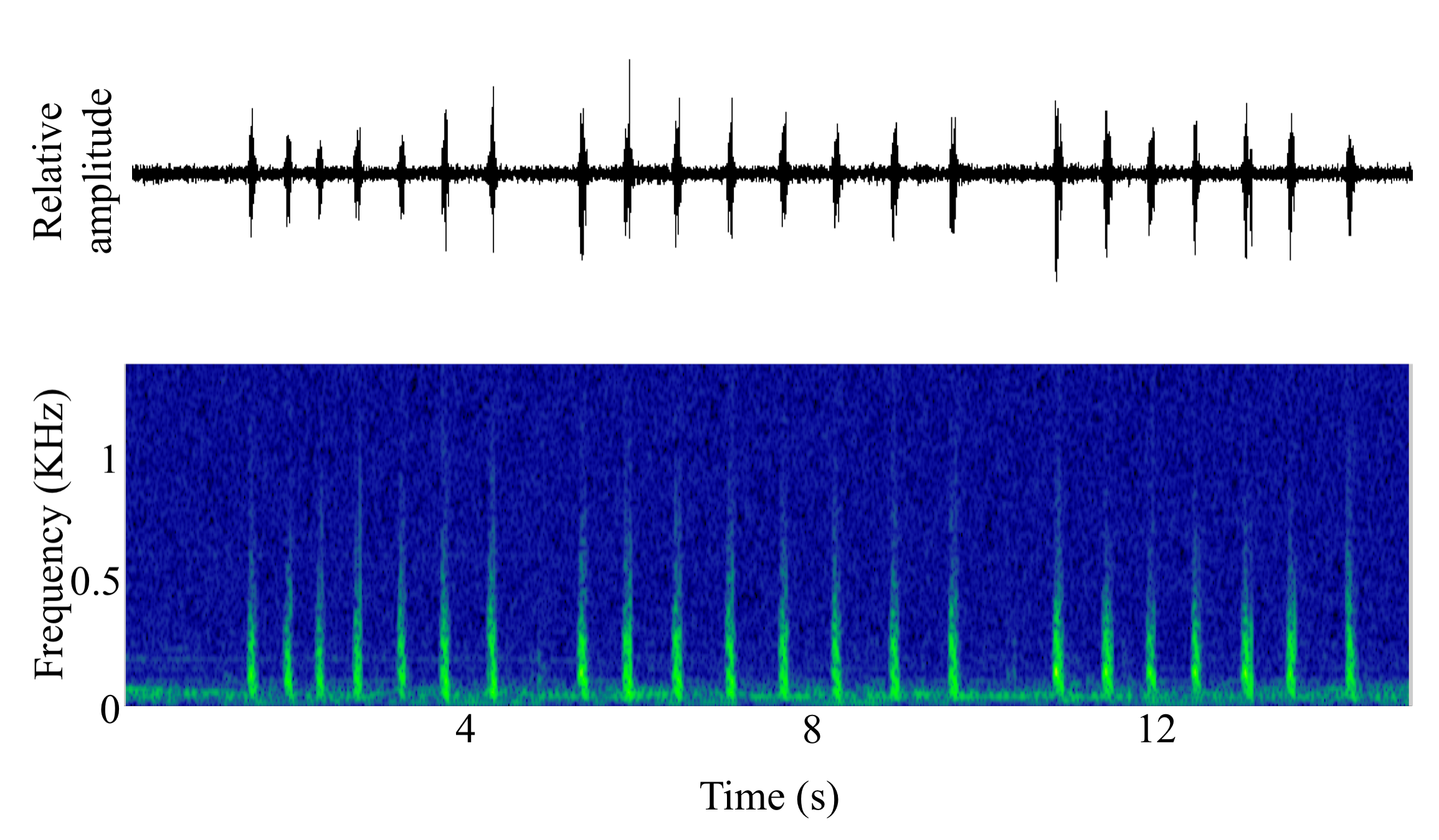 spectrogram of <i>Pomatoschistus pictus</i> (Painted goby) making the sound Thump