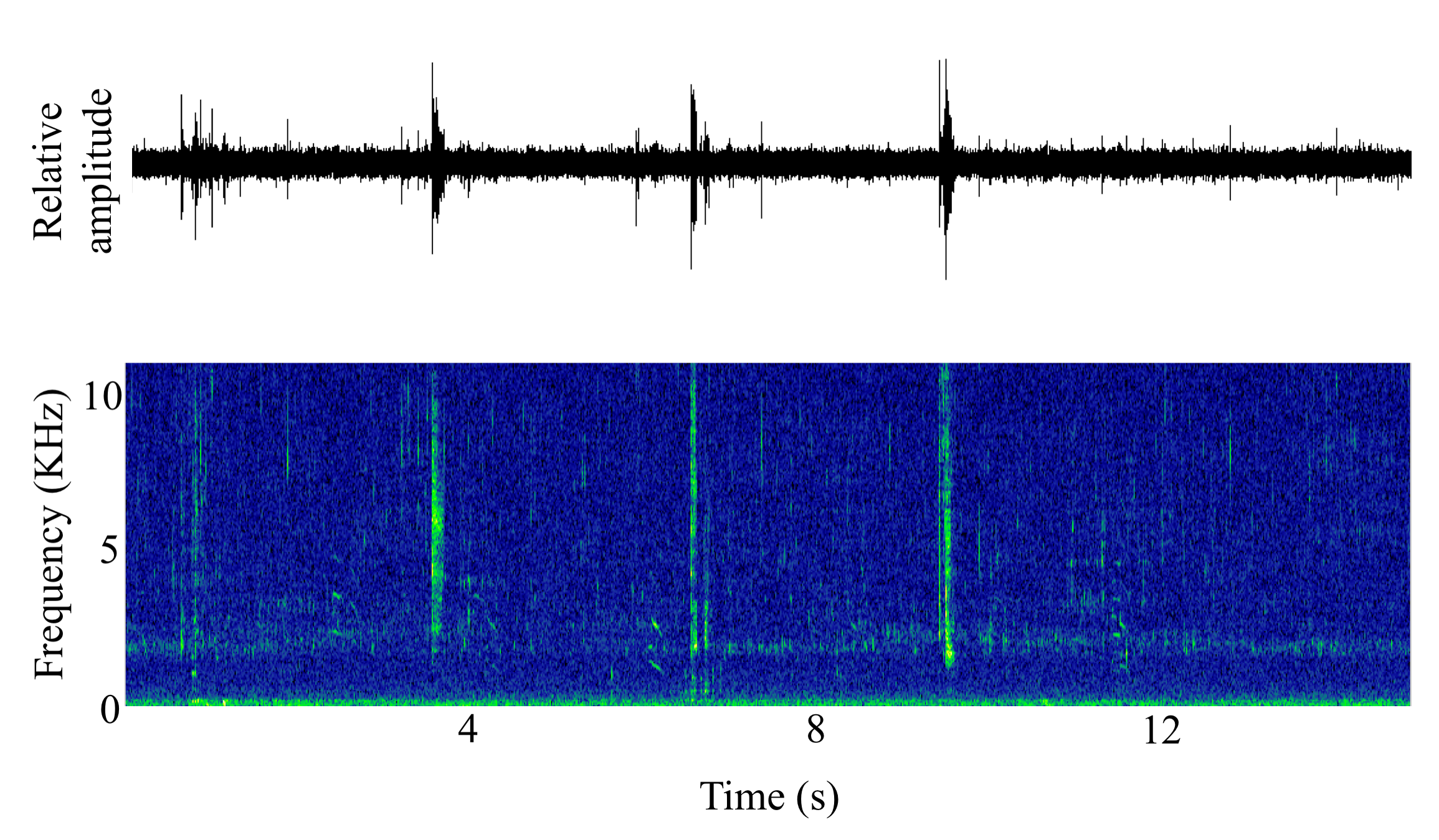 spectrogram of <i>Catostomus commersonii</i> (White sucker) making the sound Snitch; Snort