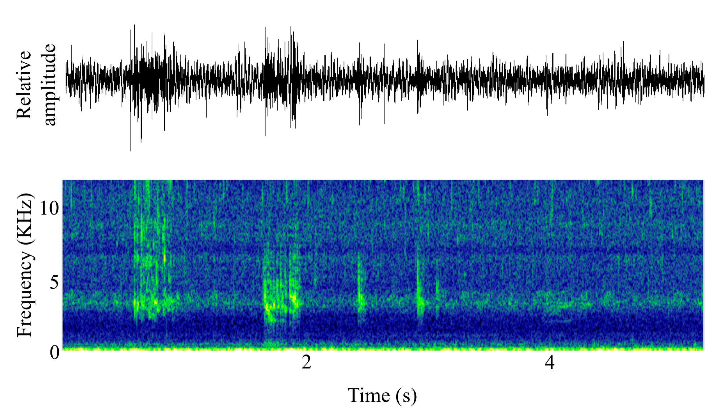 spectrogram of <i>Oncorhynchus mykiss</i> (Rainbow trout) making the sound Gurgle; VFRT