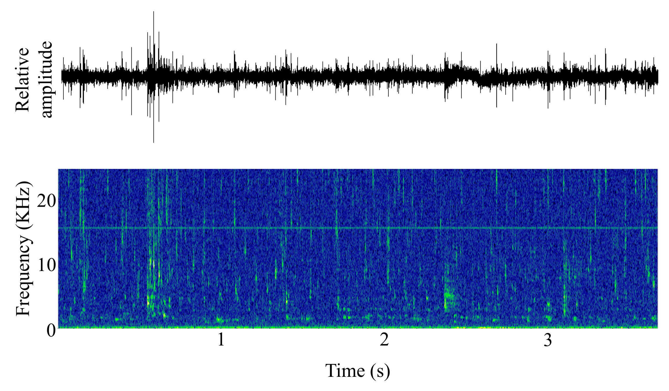 spectrogram of <i>Salvelinus fontinalis</i> (Brook trout) making the sound Snitch; VFRT