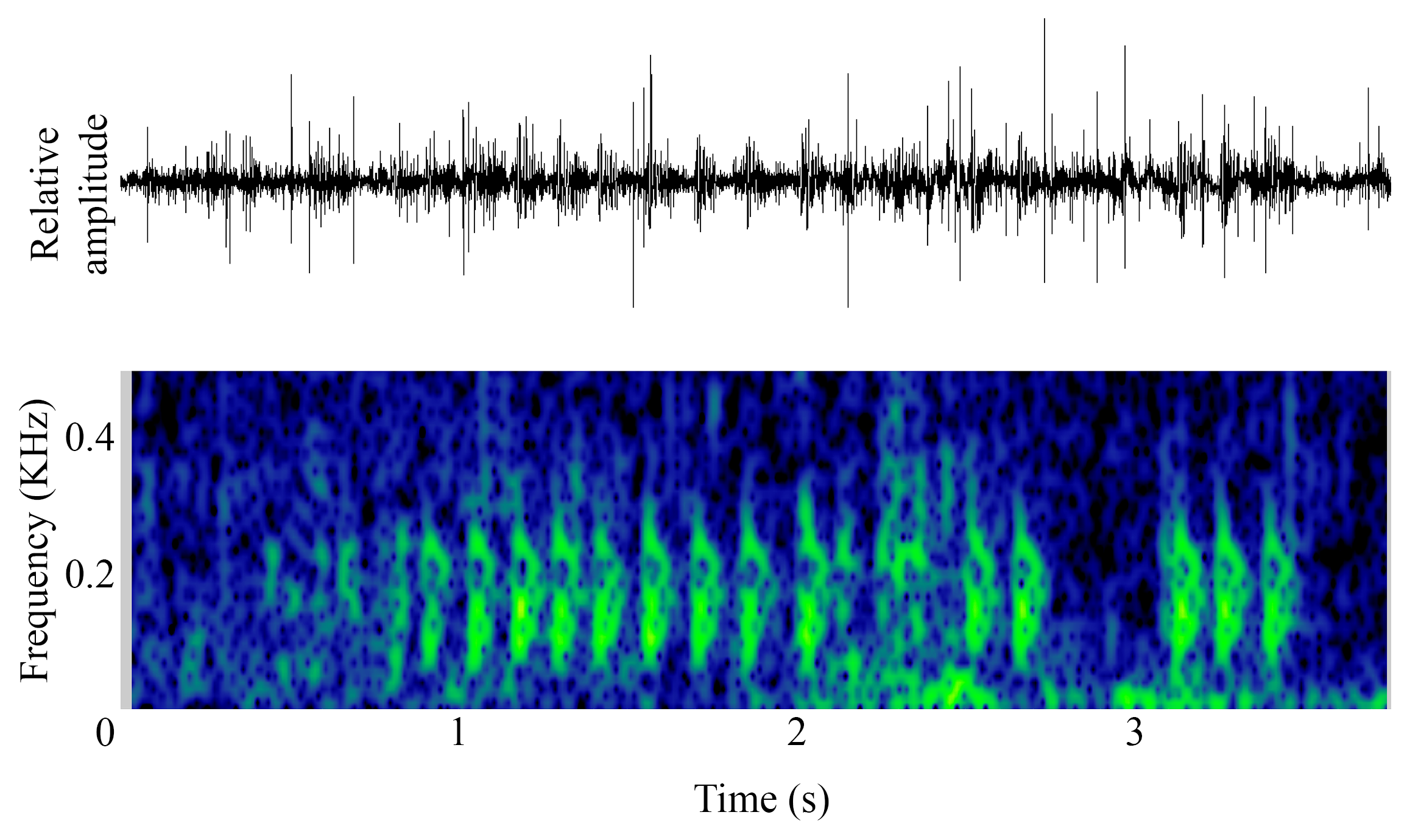 spectrogram of <i>Glaucosoma hebraicum</i> (West Australian dhufish) making the sound Knock