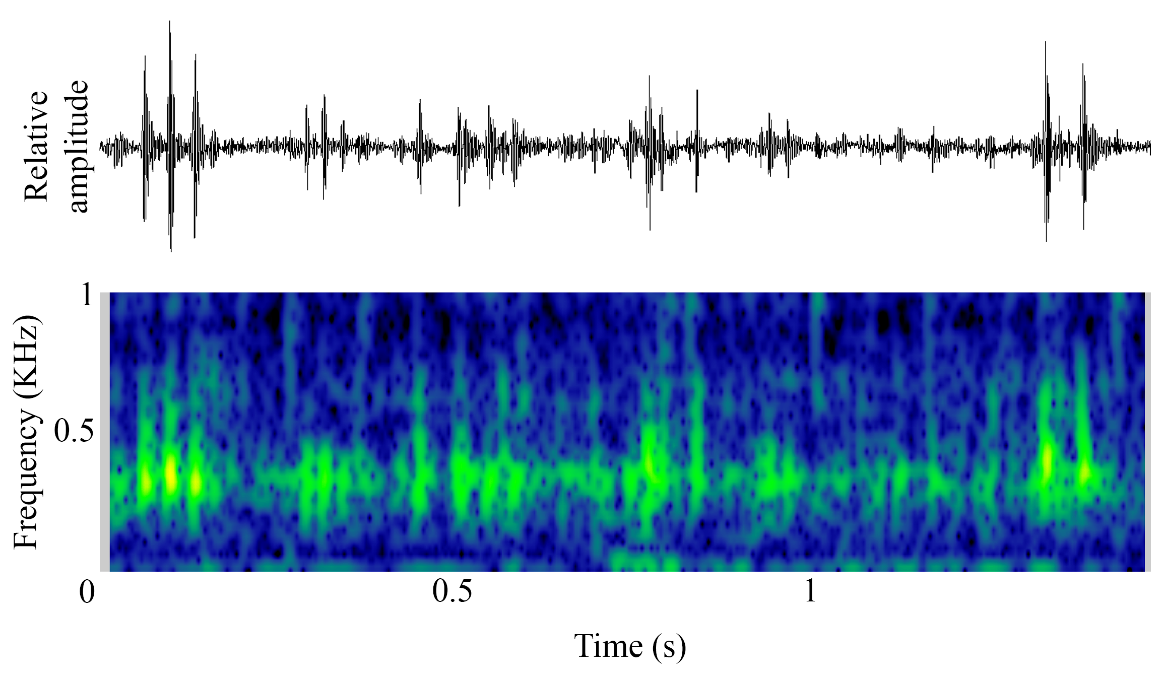 spectrogram of <i>Stegastes acapulcoensis</i> (Acapulco major) making the sound Croak