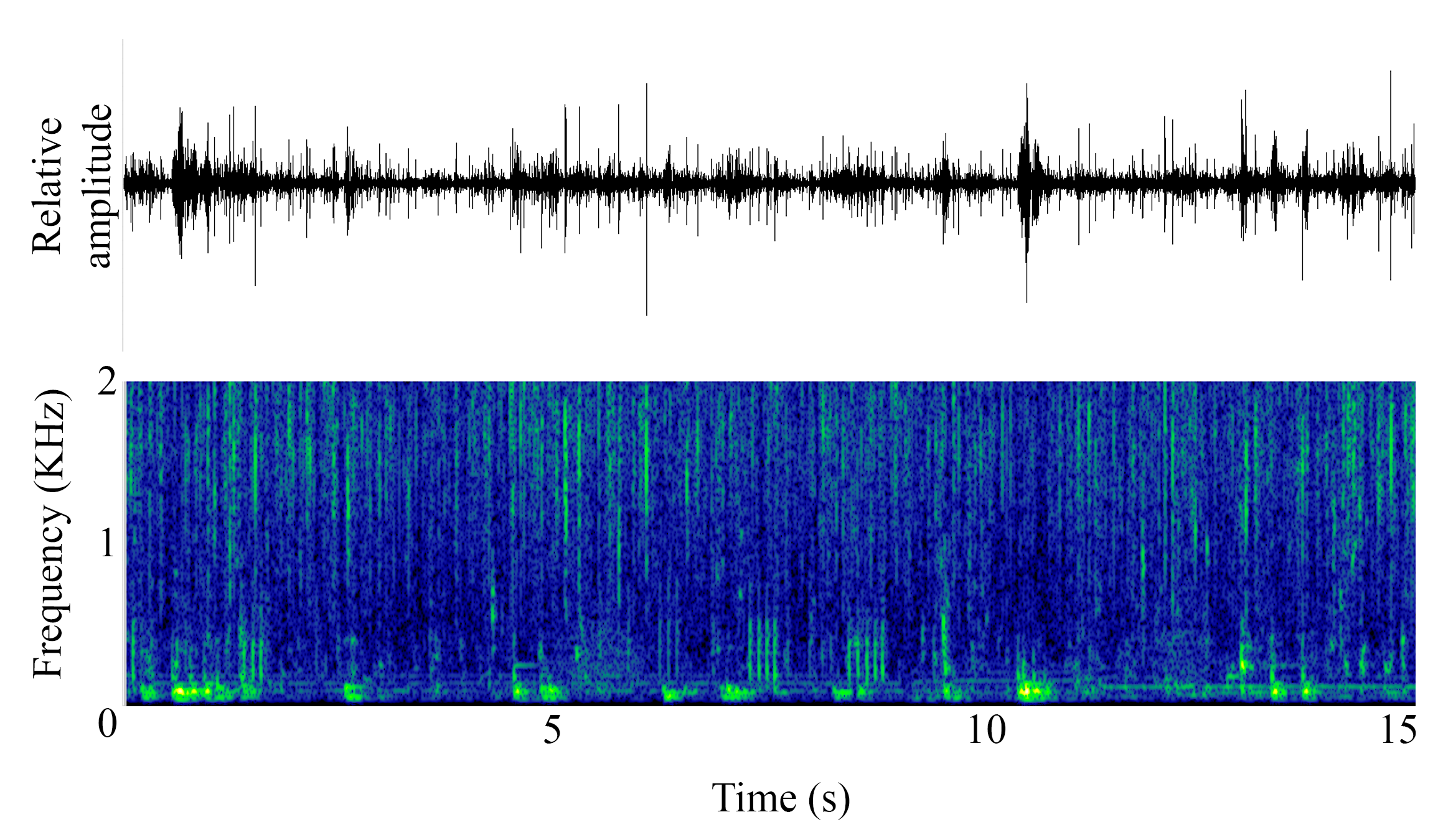 spectrogram of <i>Sciaena umbra</i> (Brown meagre) making the sound Irregular