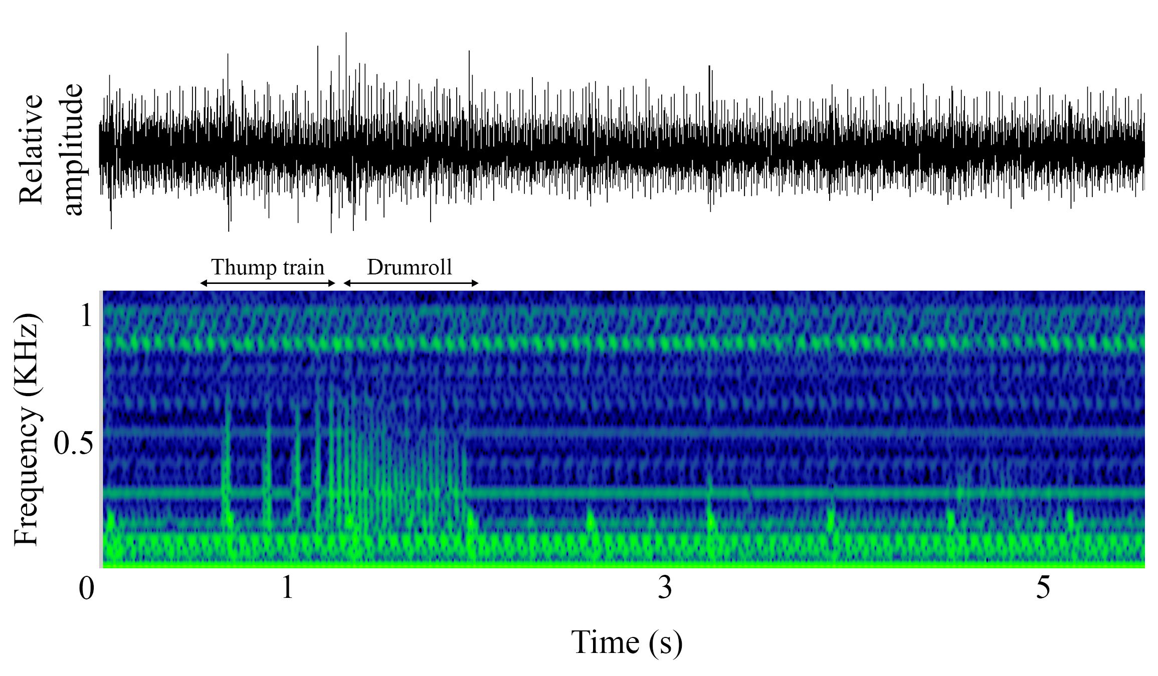 spectrogram of <i>Brosme brosme</i> (Cusk) making the sound Composite Call; Drumroll; Thump