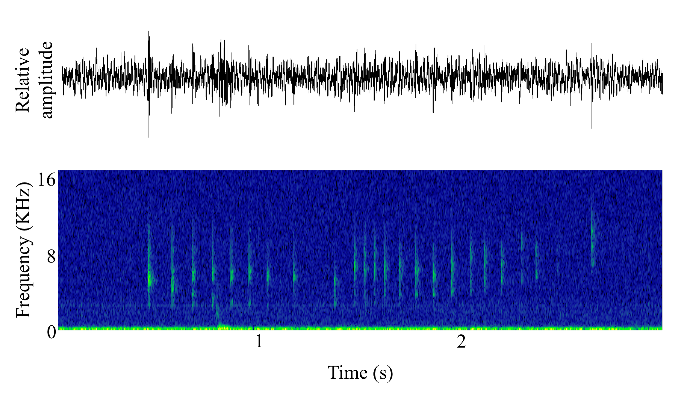 spectrogram of <i>Anoplopoma fimbria</i> (Sablefish) making the sound Rasp; Tick