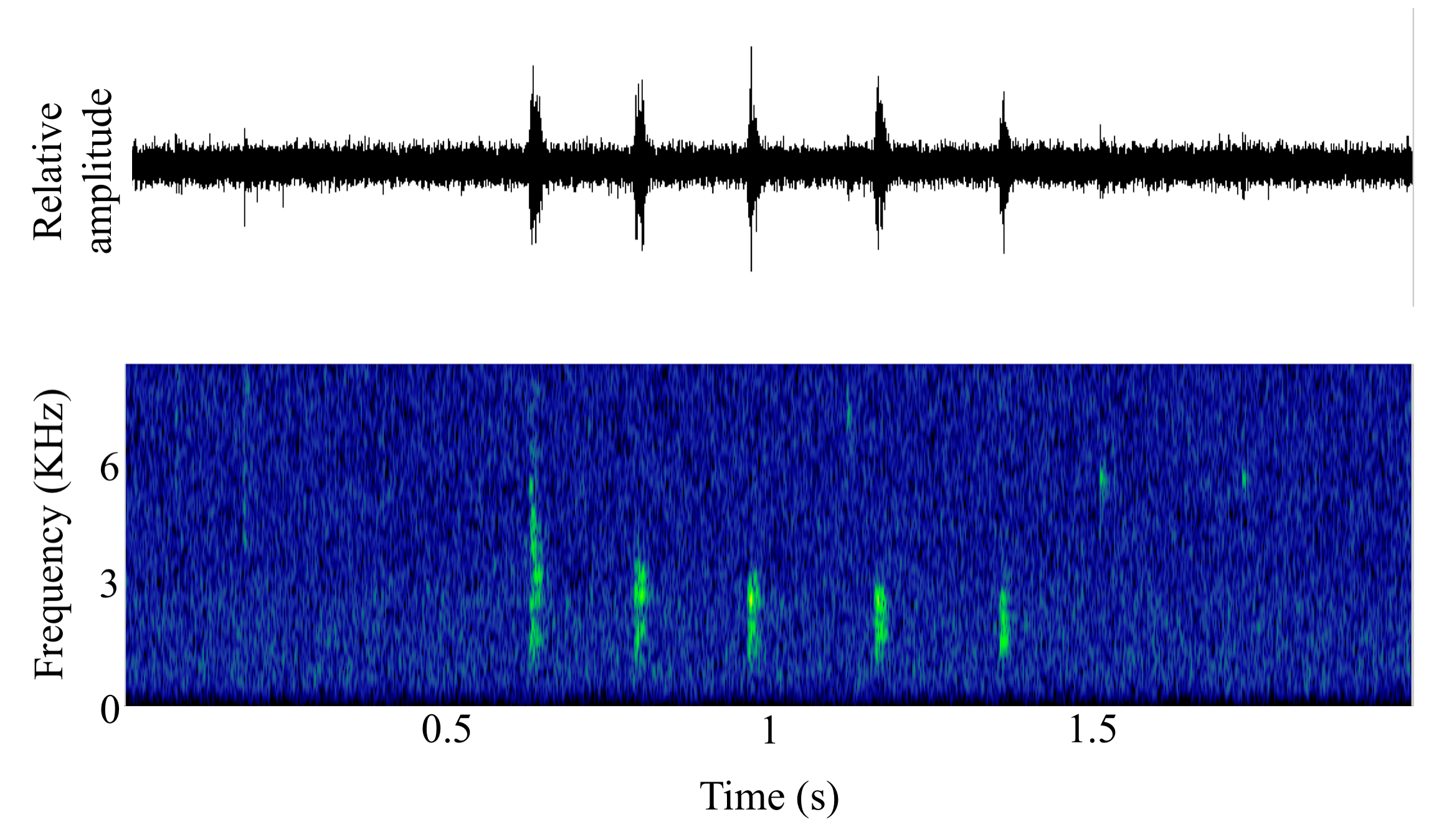 spectrogram of <i>Anoplopoma fimbria</i> (Sablefish) making the sound Rasp; Tick