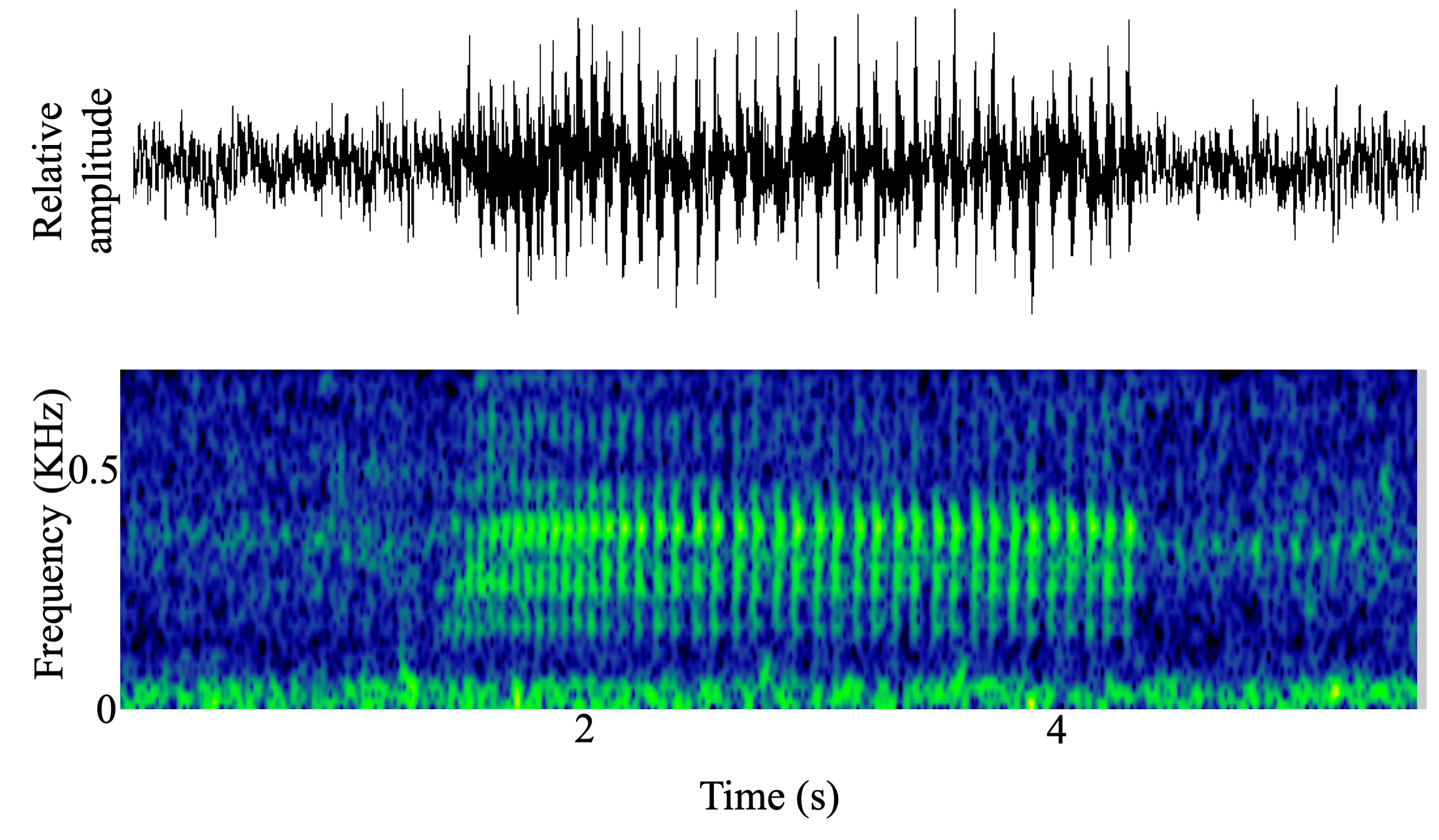 spectrogram of <i>Ophidion rochei</i> making the sound Snap