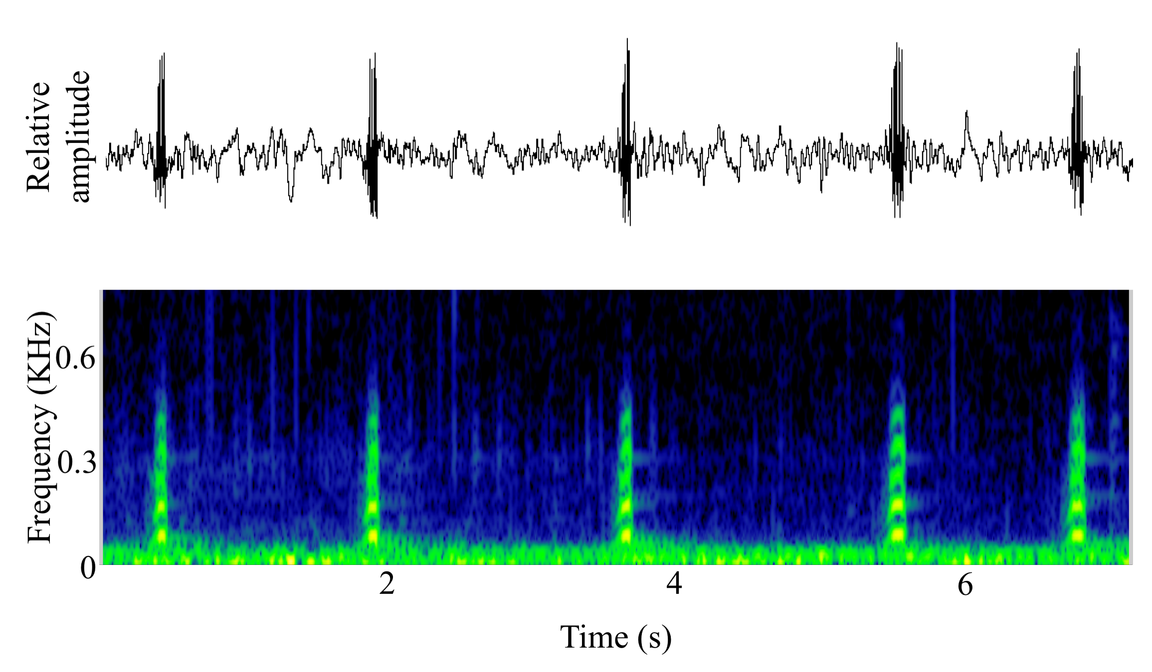 spectrogram of <i>Serrasalmus marginatus</i> making the sound Unnamed