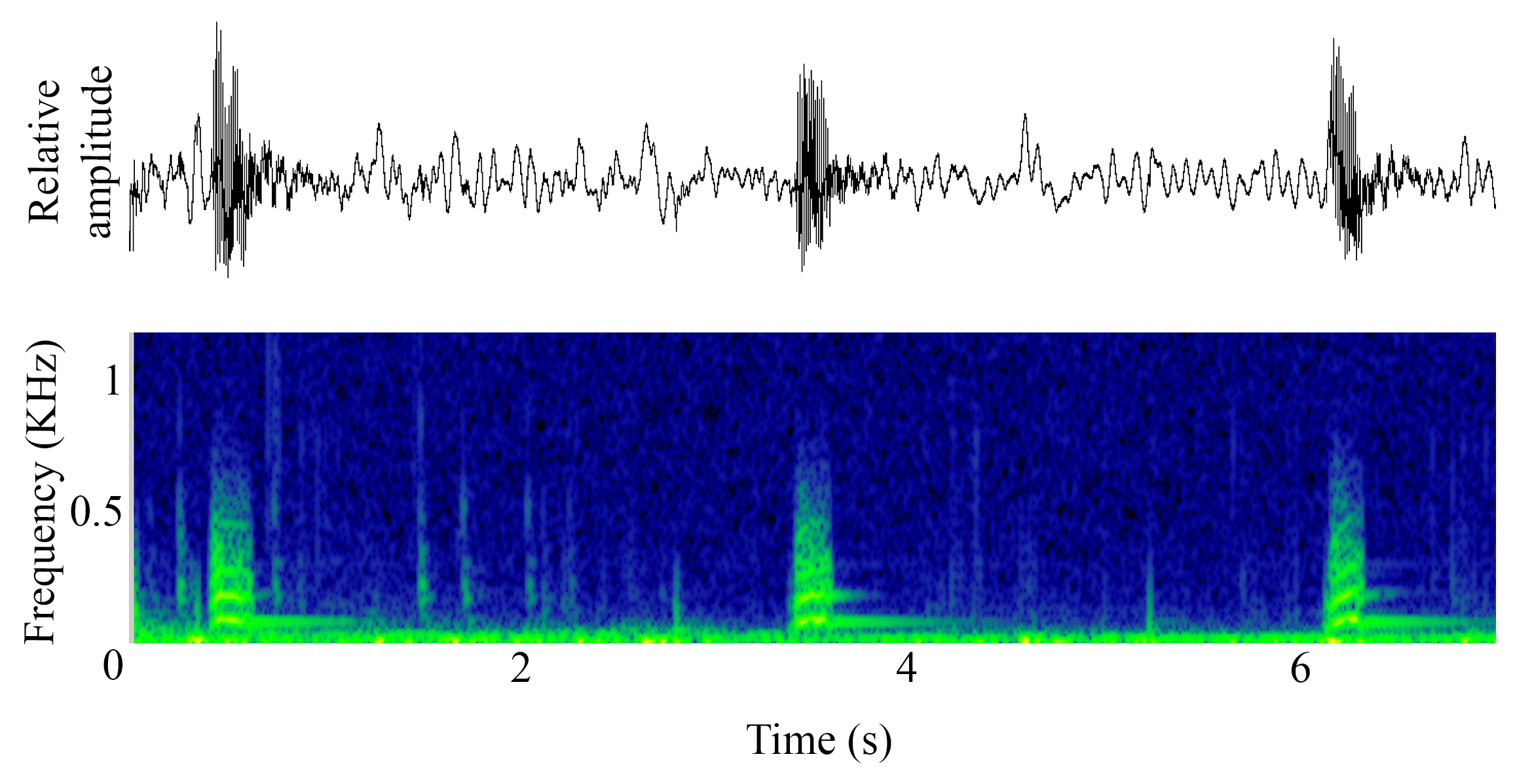 spectrogram of <i>Pygocentrus piraya</i> (San Francisco piranha) making the sound Unnamed