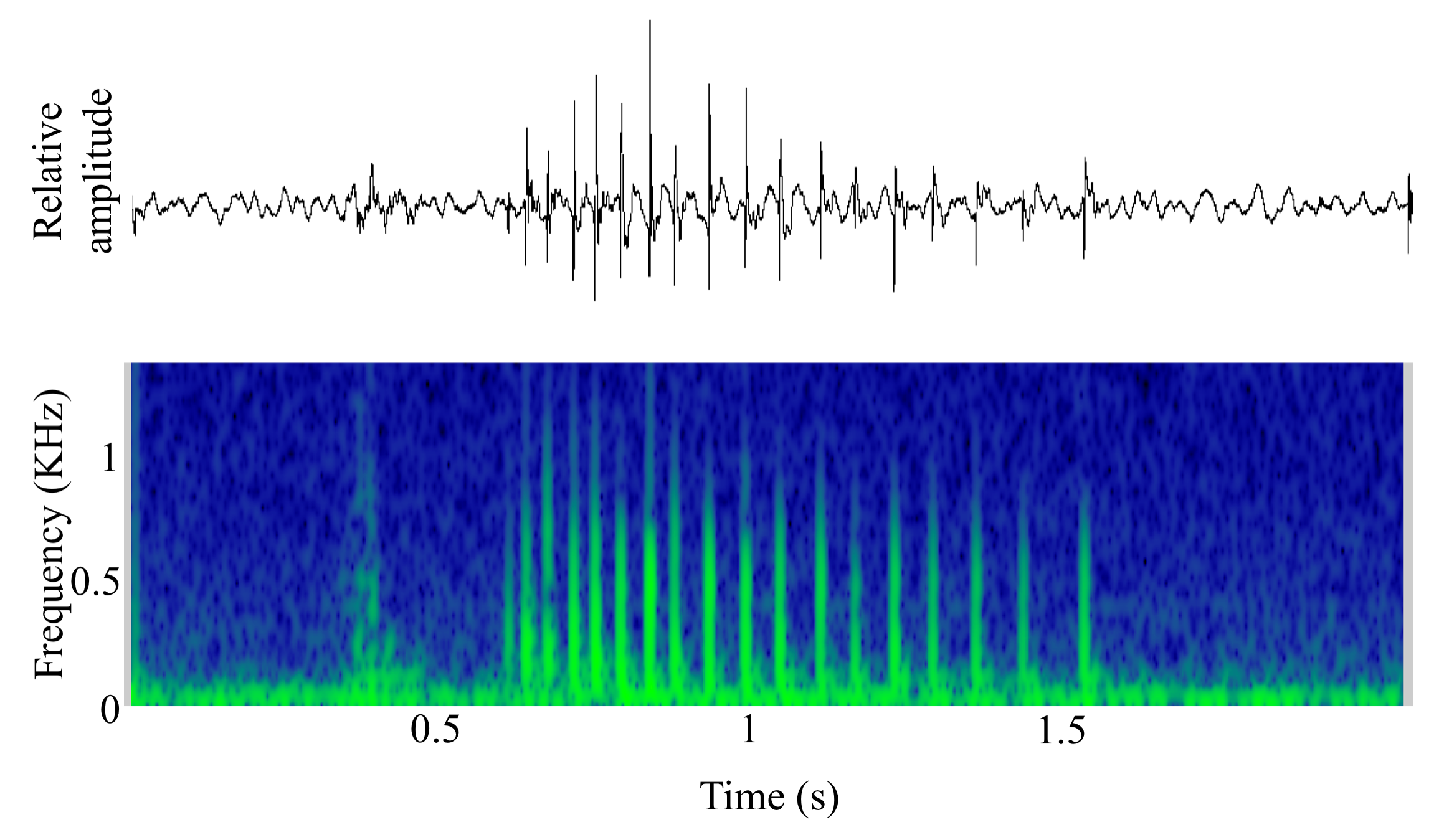 spectrogram of <i>Maylandia zebra</i> (Zebra mbuna) making the sound Growl