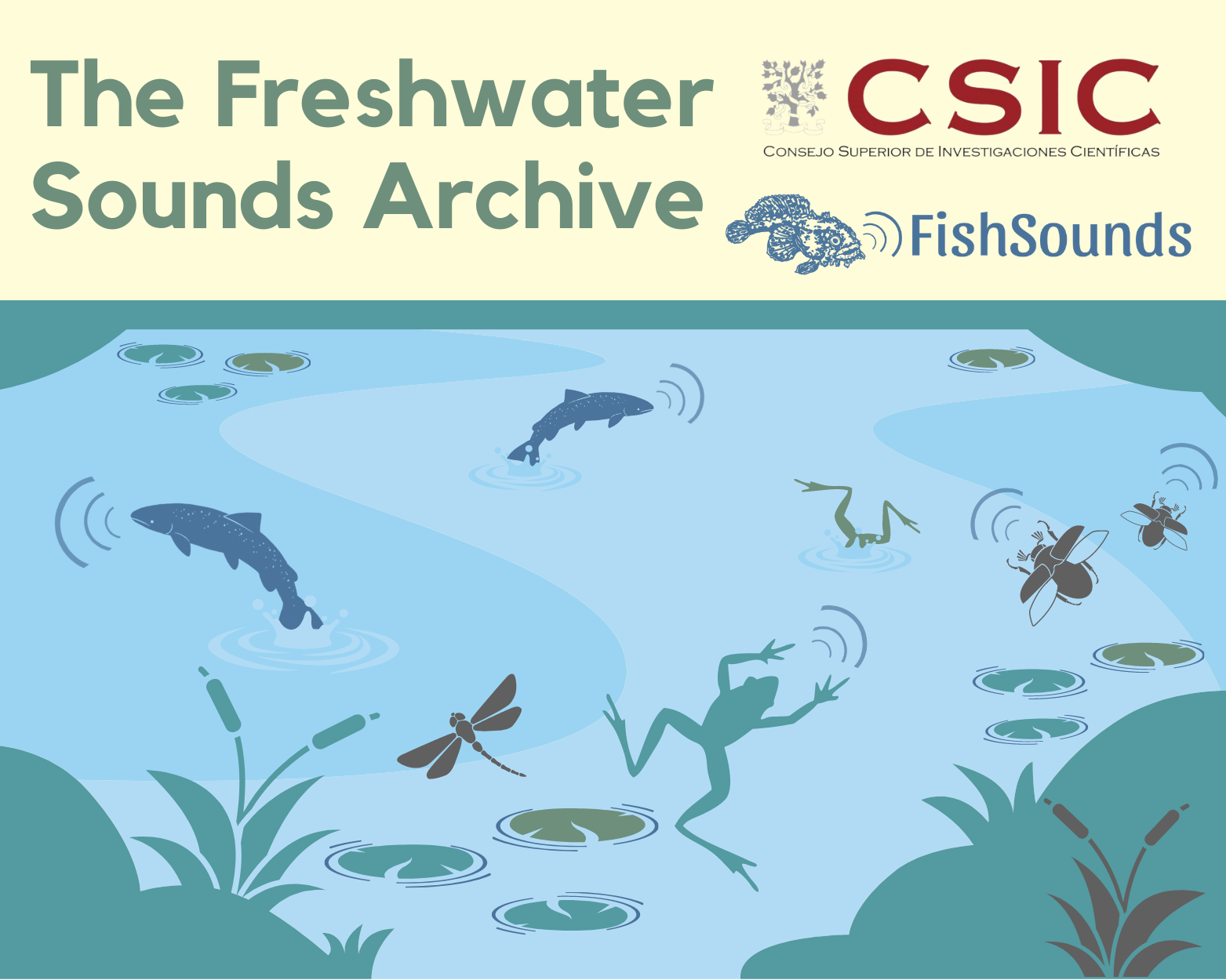The Freshwater Sound Archive