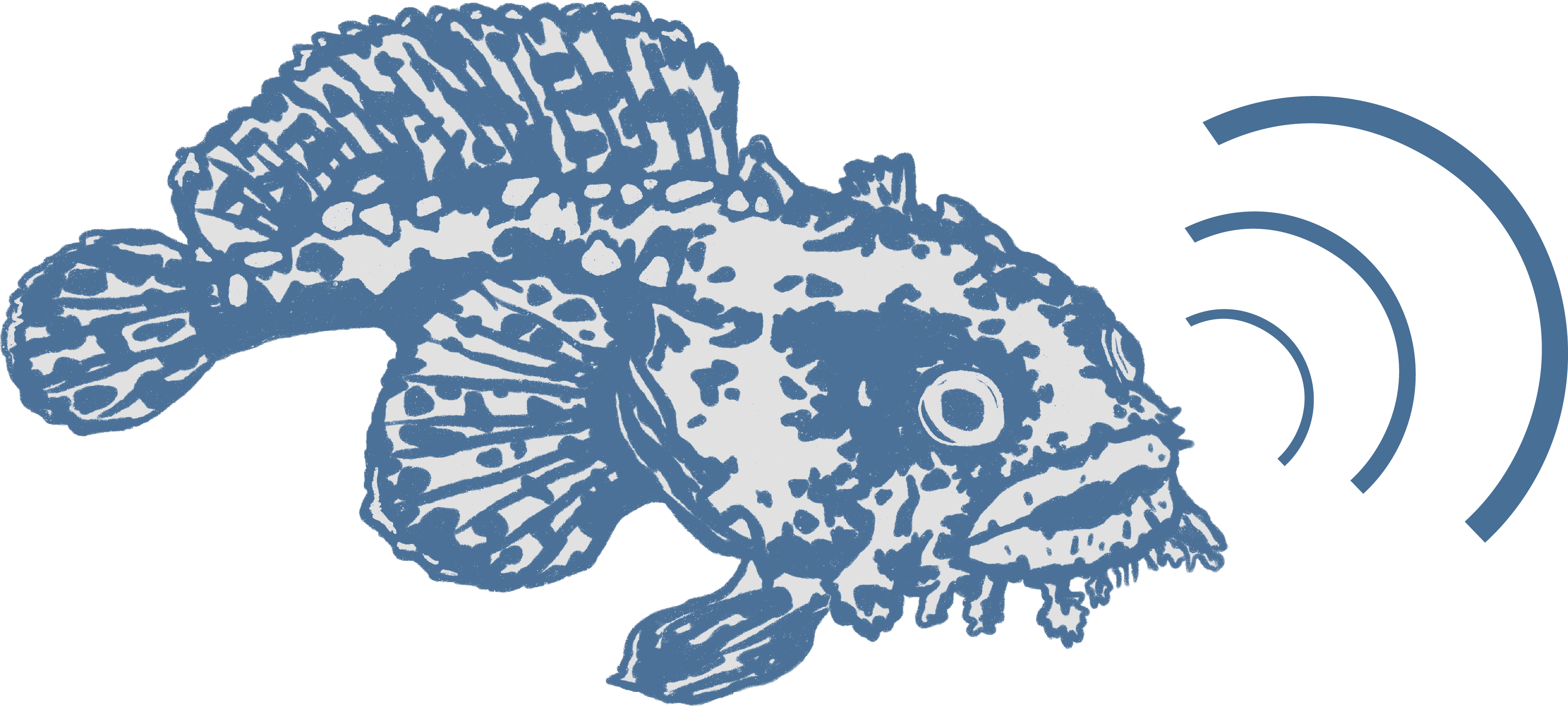 Fish Sounds logo - links to index