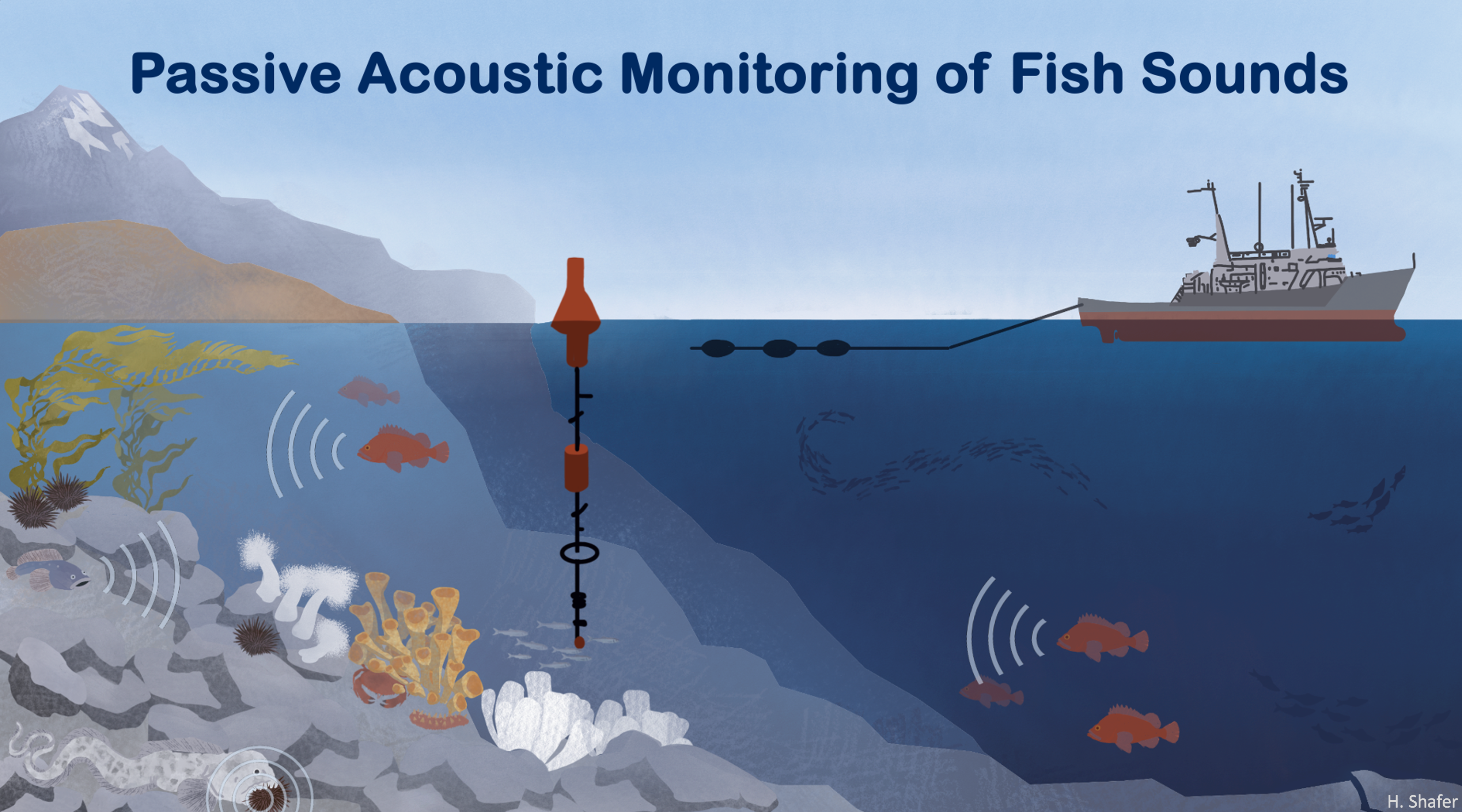 the title 'Passive Acoustic Monitoring of Fish Sounds' appears above a stylized drawing depicting a boat towing a monitoring rig and a buoy with a hydrophone array on the bottom; in the water are various fish with symbols indicating sound production