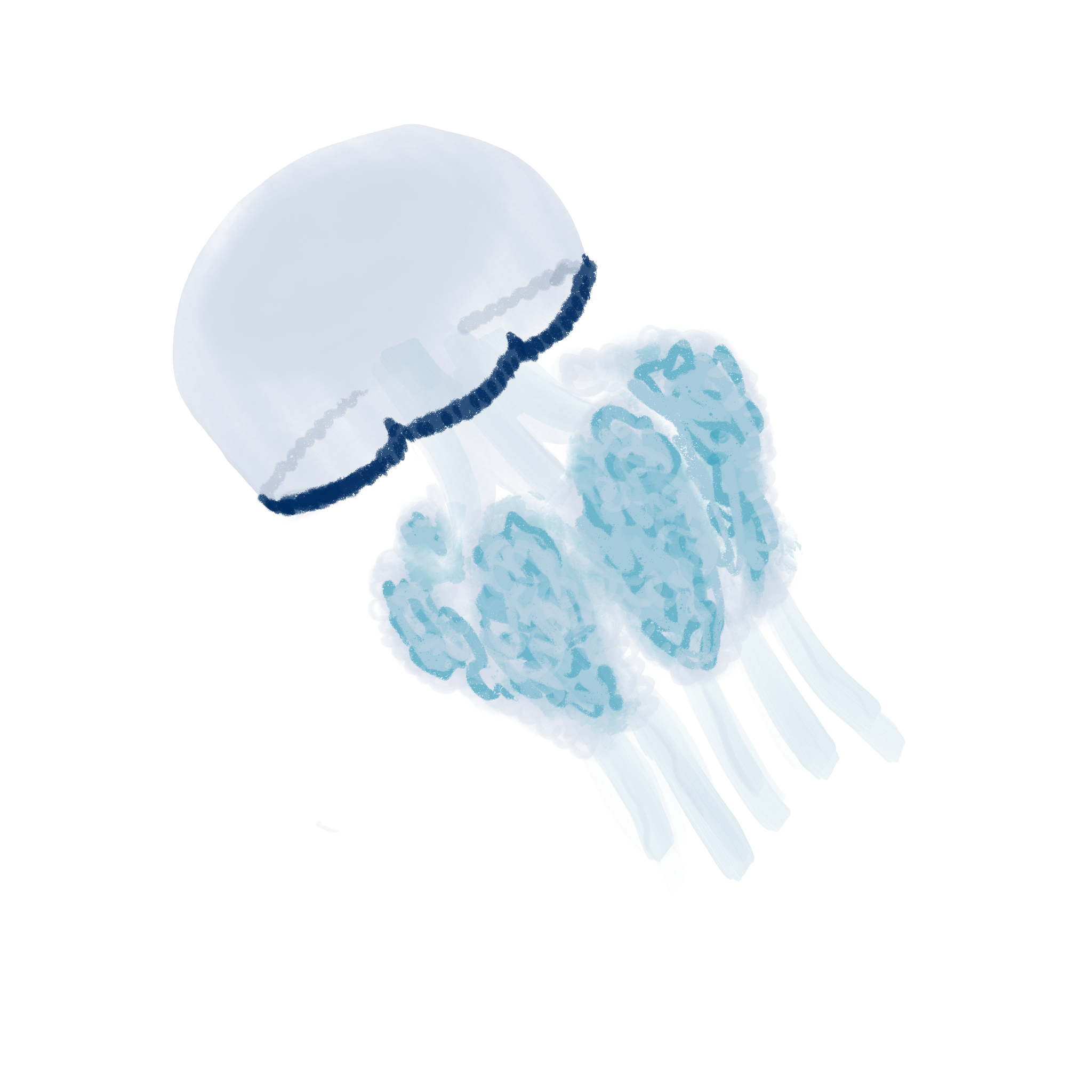 a stylized illustration of a barrel jellyfish