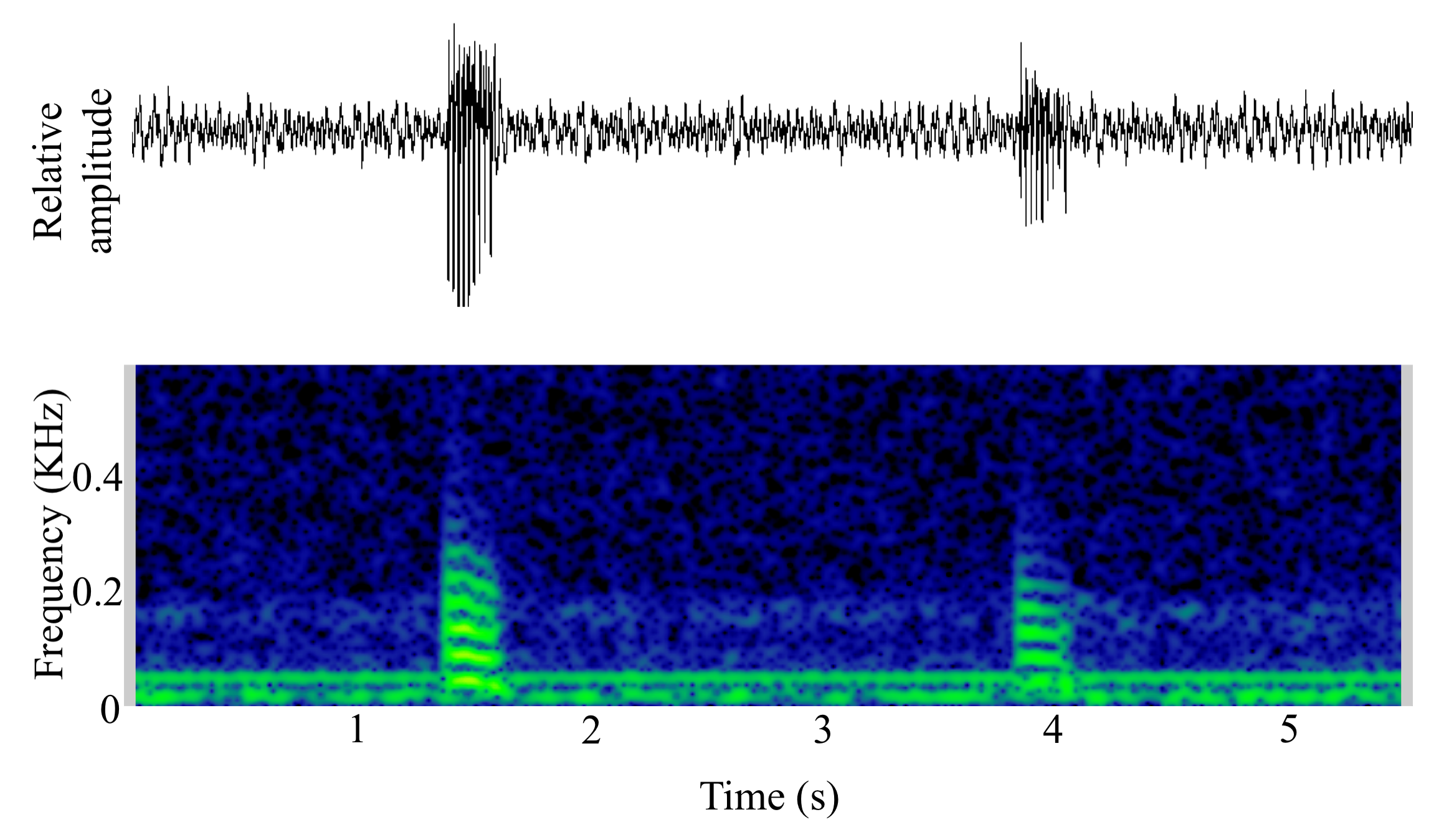 spectrogram of <i>Gadus morhua</i> (Atlantic cod) making the sound Grunt