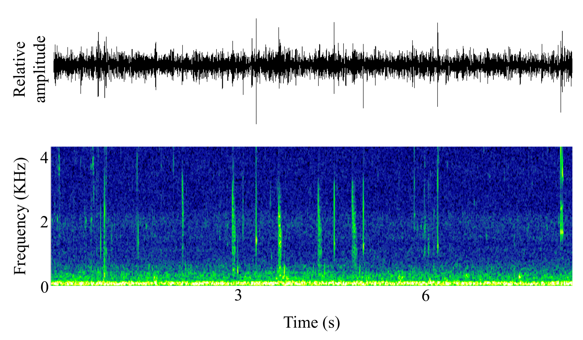 spectrogram of <i>Alosa pseudoharengus</i> (Alewife) making the sound Cough; Mouthbubble; Snitch