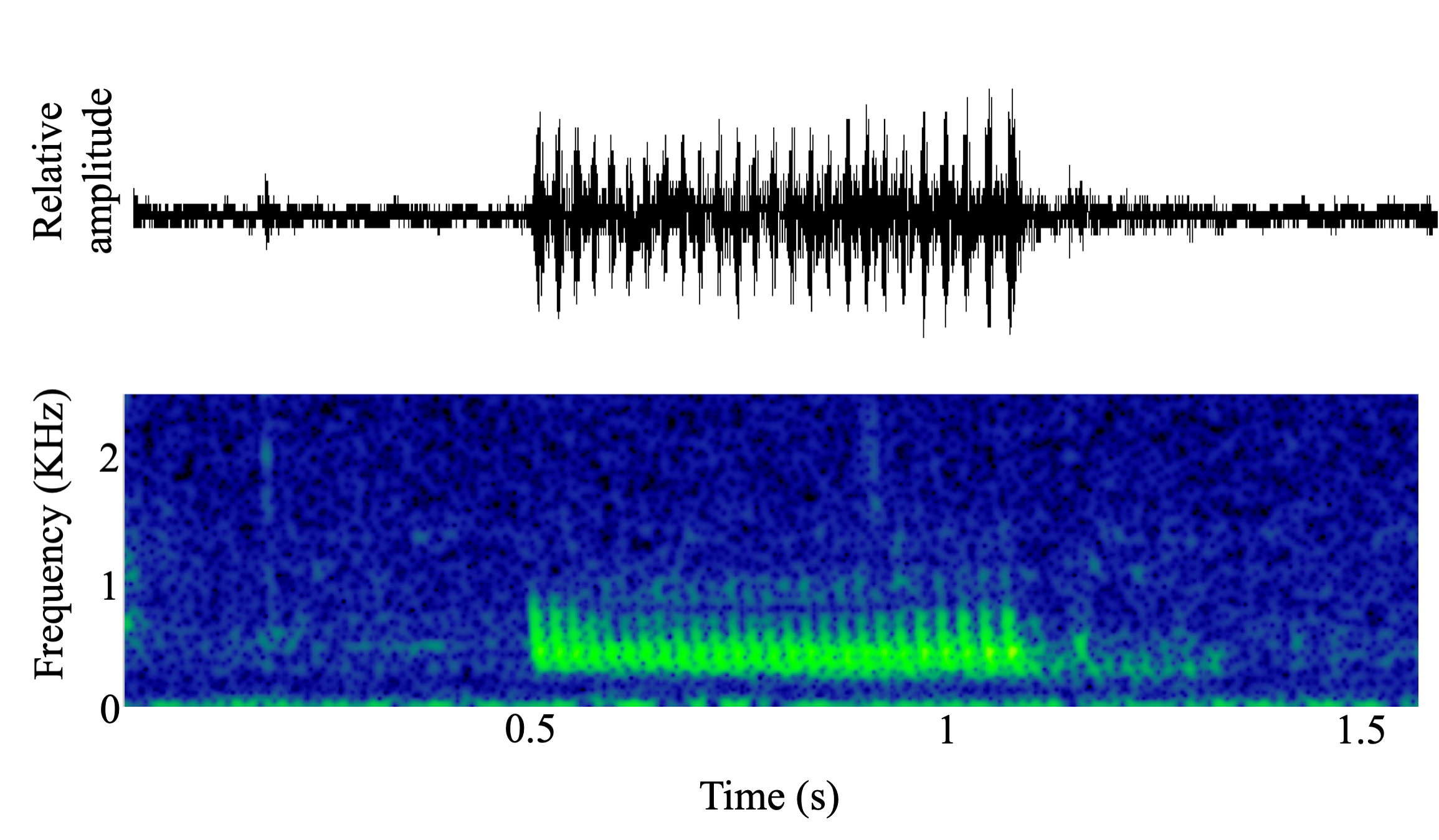 spectrogram of <i>Aplodinotus grunniens</i> (Freshwater drum) making the sound Drum