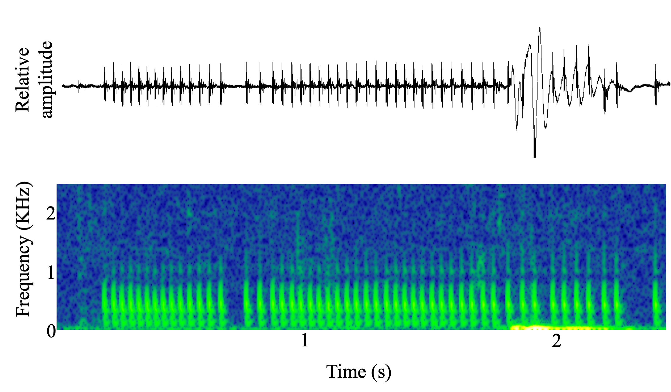 spectrogram of undefined undefined making the sound Drum