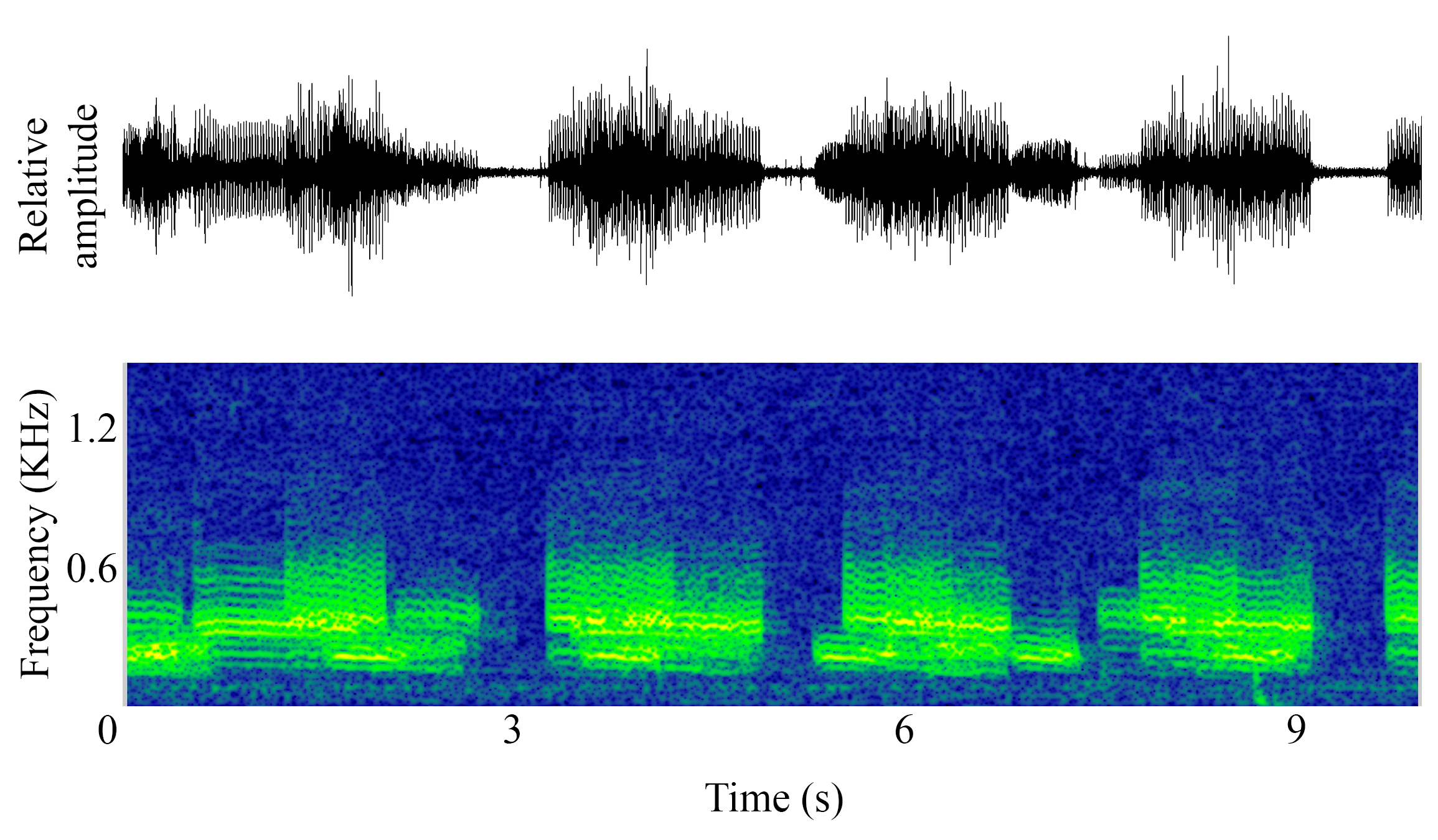 spectrogram of <i>Aplodinotus grunniens</i> (Freshwater drum) making the sound Chorus; Drum Chorus