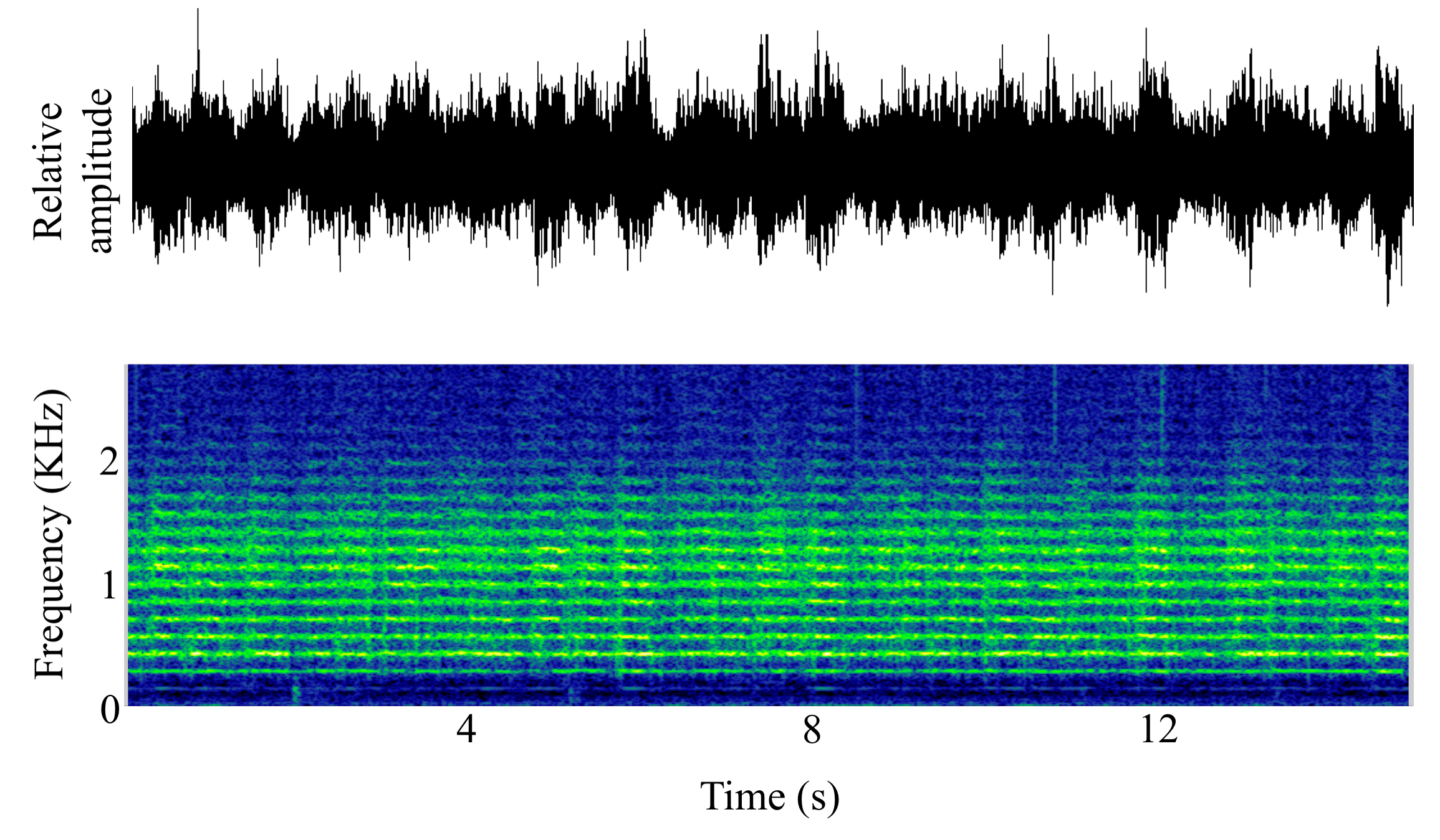 spectrogram of <i>Unknown</i> spp. (Terapontidae family) making the sound Chorus