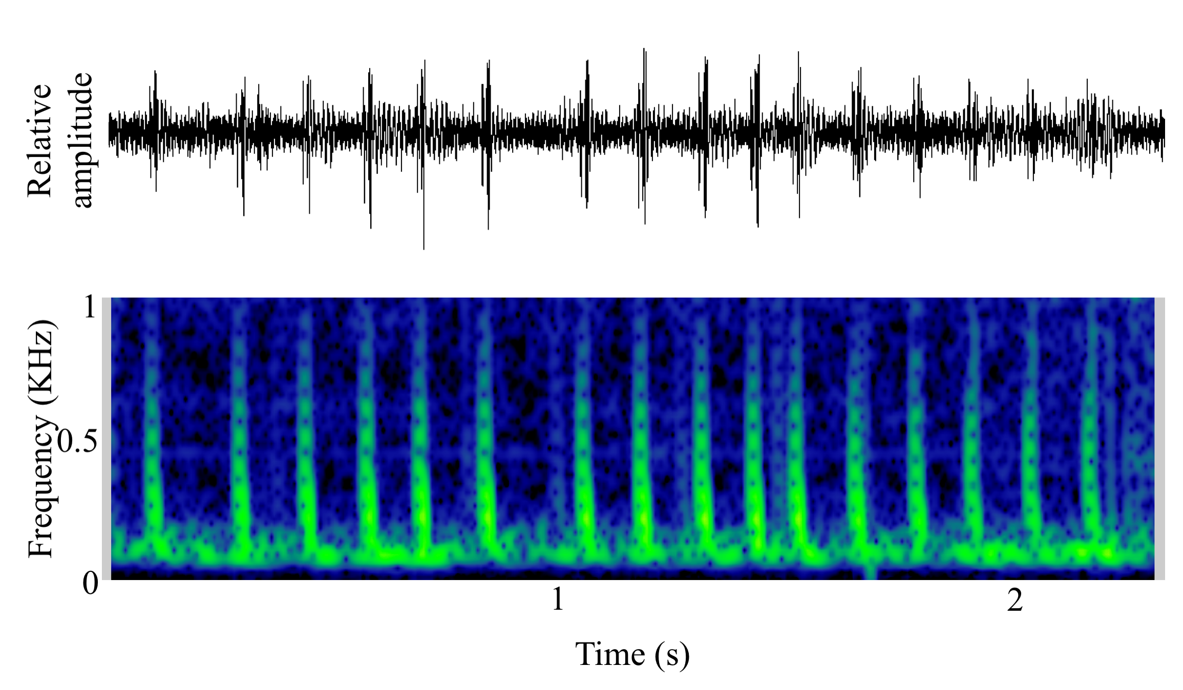 spectrogram of <i>Melanogrammus aeglefinus</i> (Haddock) making the sound Juvenile Sound