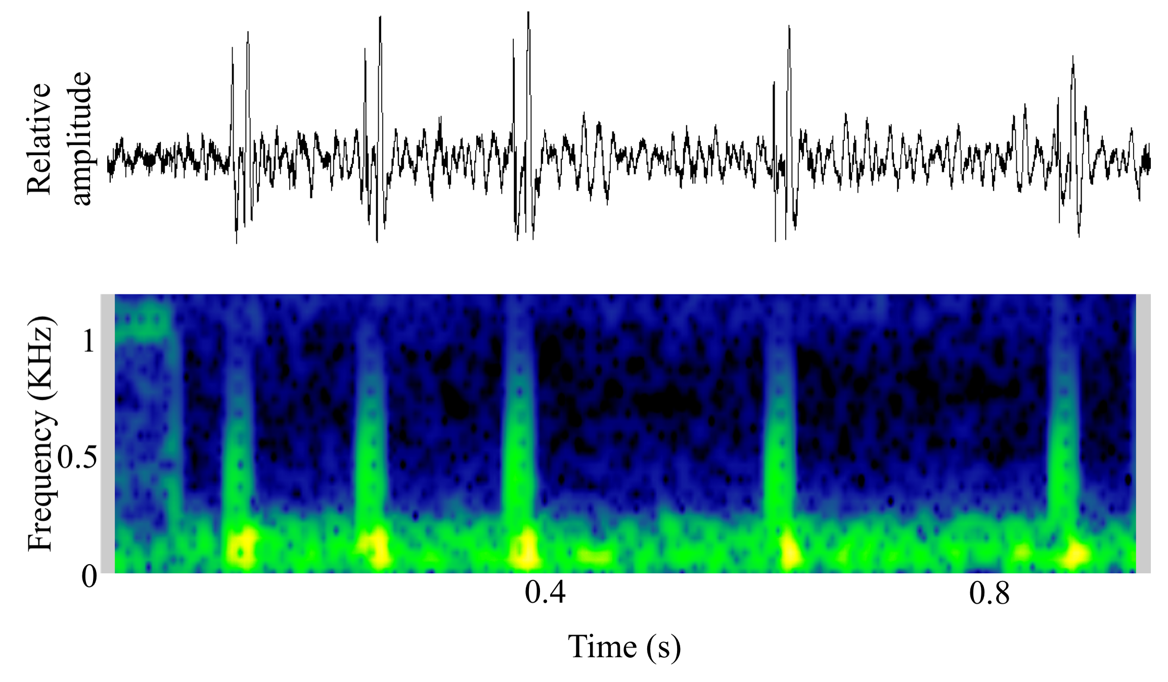 spectrogram of <i>Melanogrammus aeglefinus</i> (Haddock) making the sound Juvenile Sound