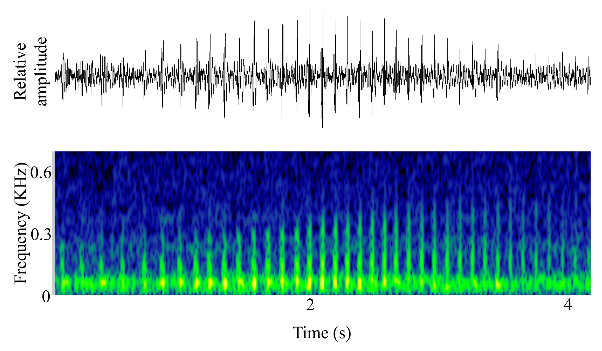 spectrogram of <i>Melanogrammus aeglefinus</i> (Haddock) making the sound Knock