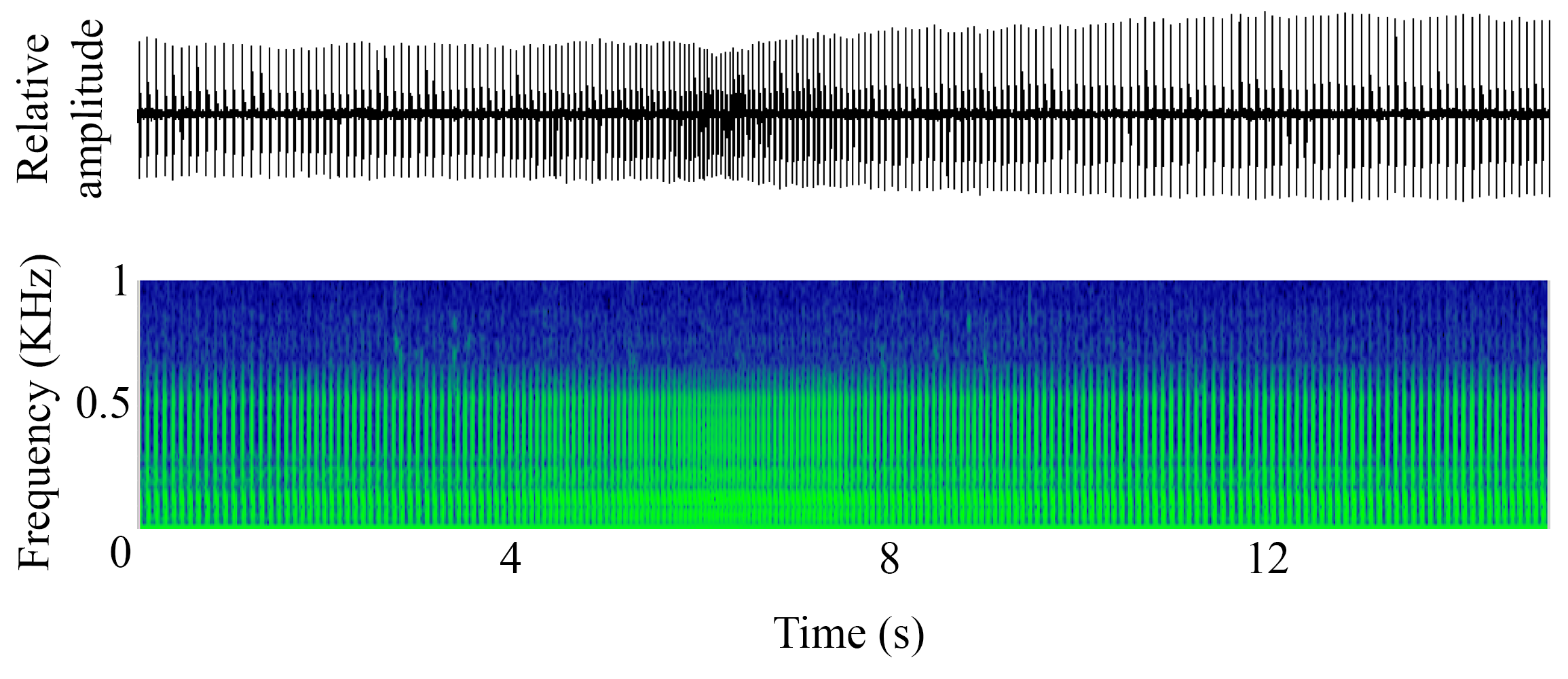 spectrogram of <i>Melanogrammus aeglefinus</i> (Haddock) making the sound Male Call