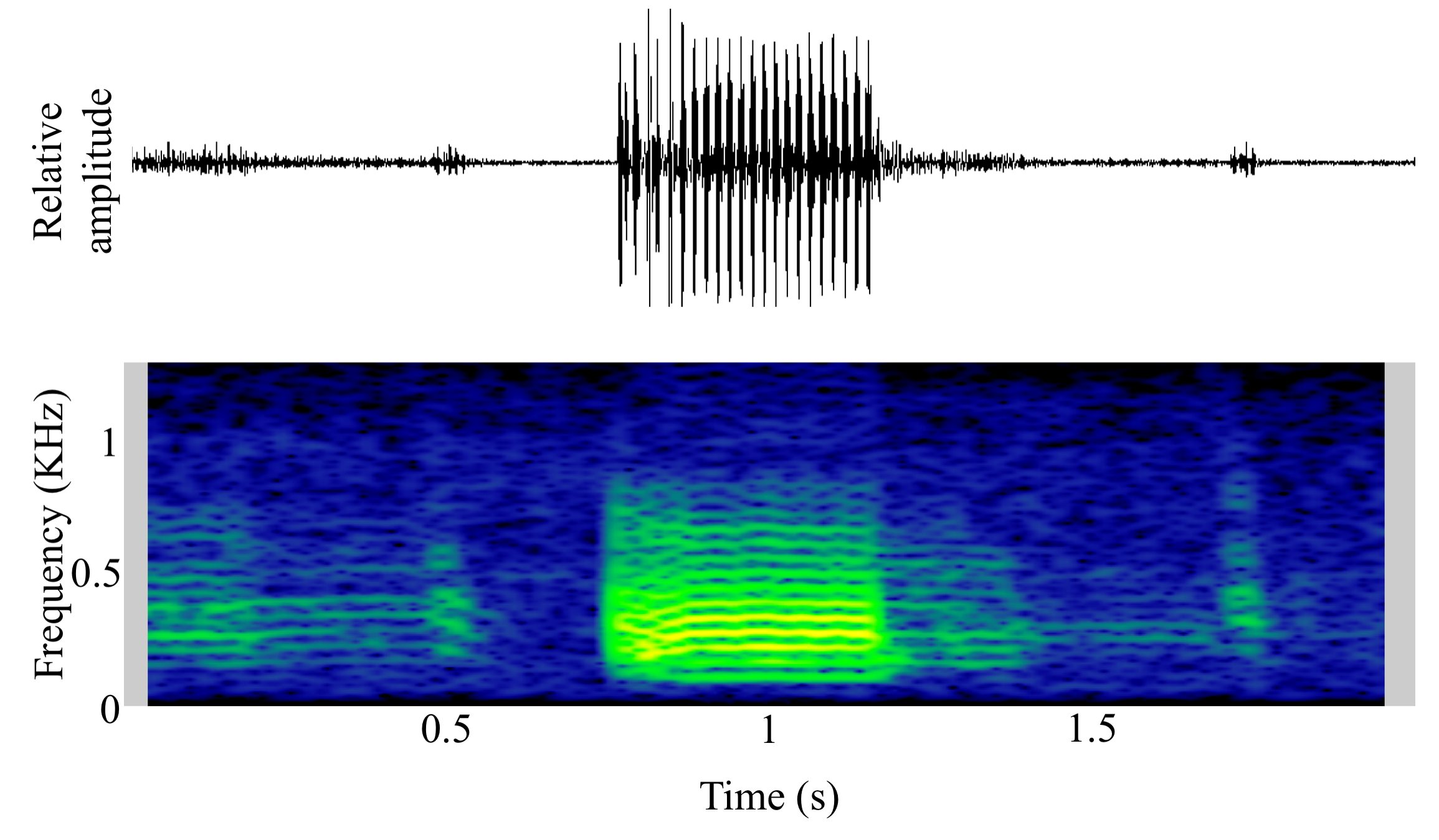 spectrogram of <i>Argyrosomus japonicus</i> (Japanese meagre) making the sound Unnamed