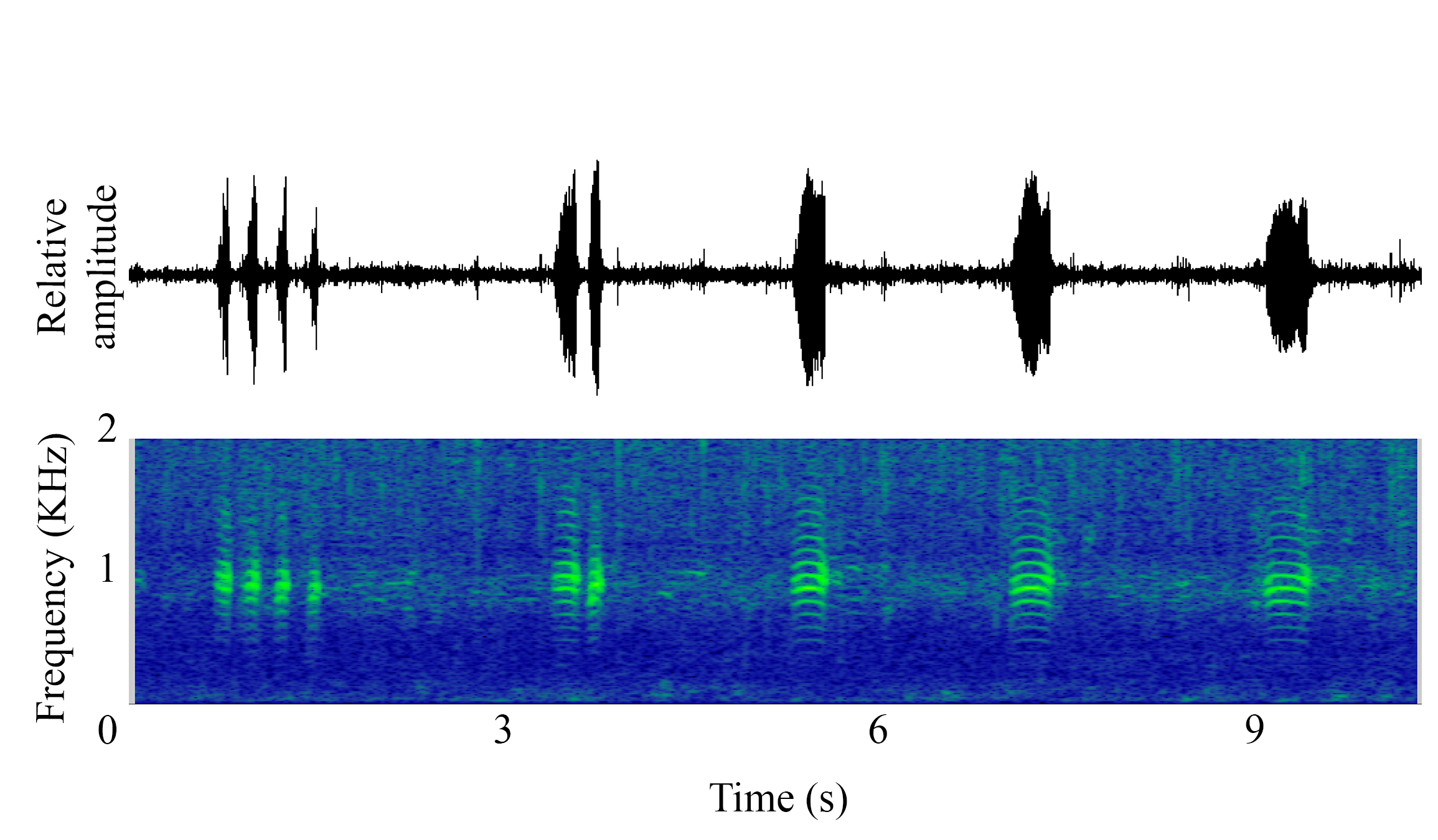 spectrogram of undefined undefined making the sound Kwa Chorus