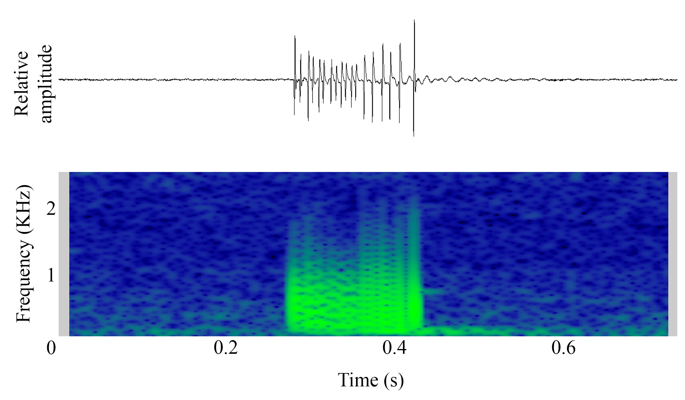 spectrogram of <i>Argyrosomus regius</i> (Meagre) making the sound Adult Distress Sound