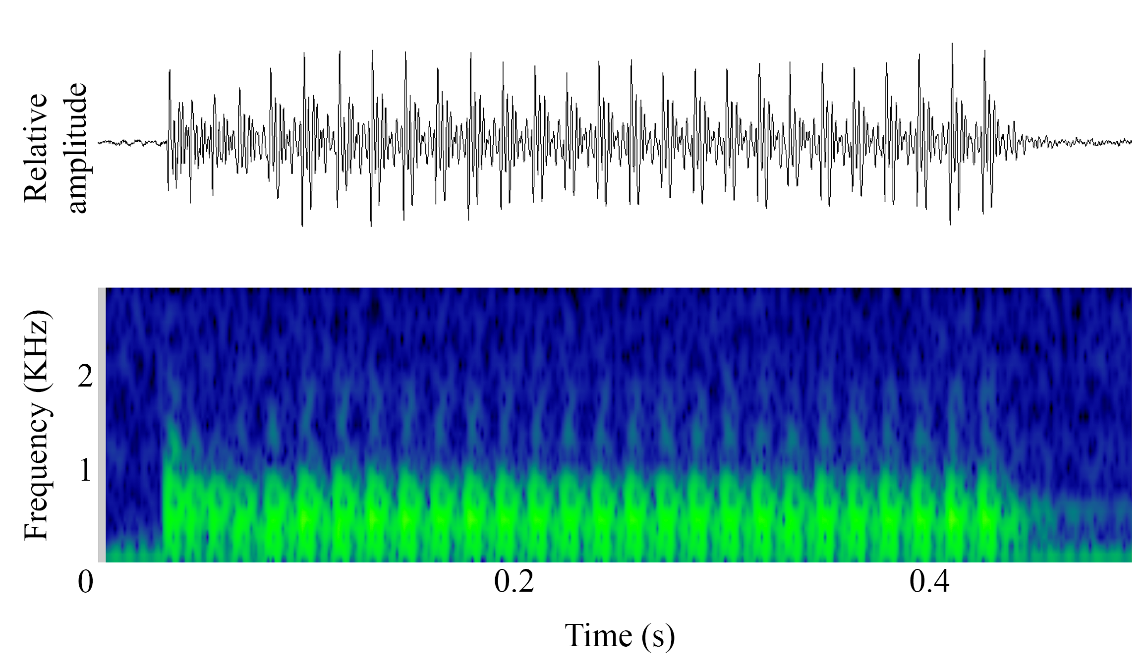 spectrogram of <i>Argyrosomus regius</i> (Meagre) making the sound Adult Social Sound