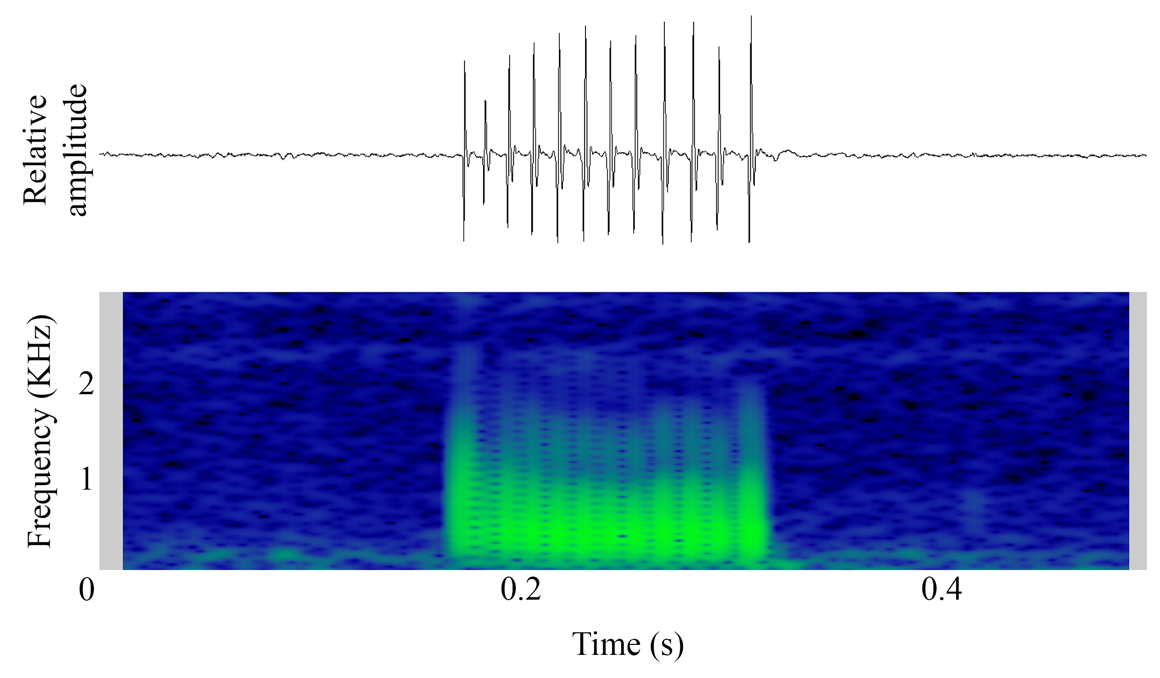spectrogram of <i>Argyrosomus regius</i> (Meagre) making the sound Juvenile Distress Sound