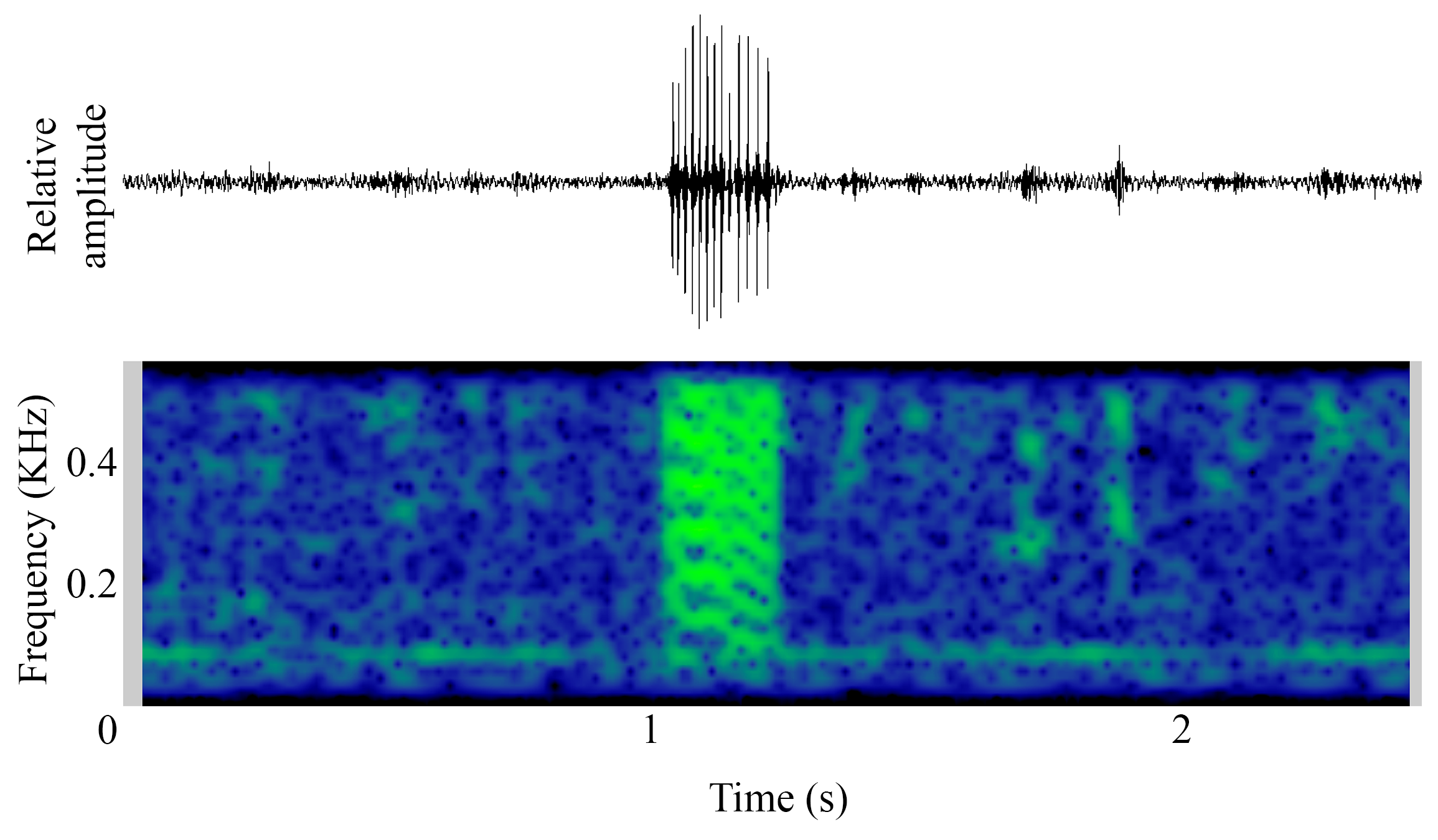 spectrogram of <i>Argyrosomus regius</i> (Meagre) making the sound Juvenile Social Sound