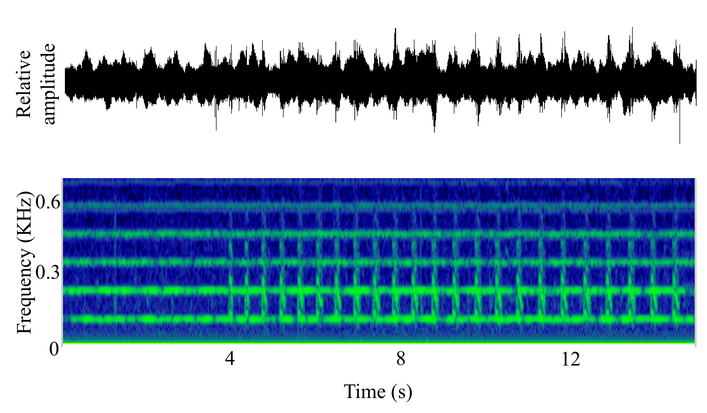 spectrogram of <i>Porichthys notatus</i> (Plainfin midshipman) making the sound Grunt