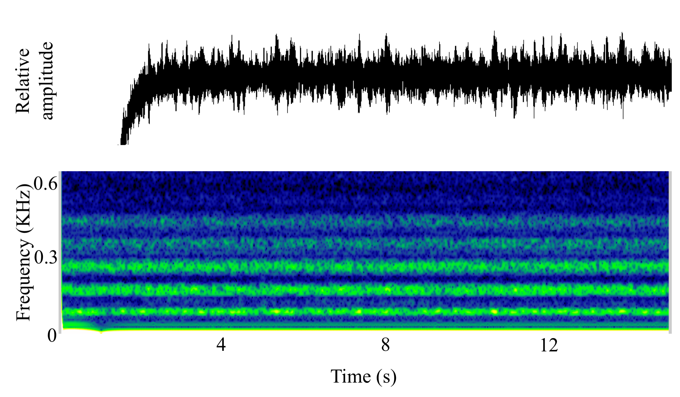 spectrogram of <i>Porichthys notatus</i> (Plainfin midshipman) making the sound Hum