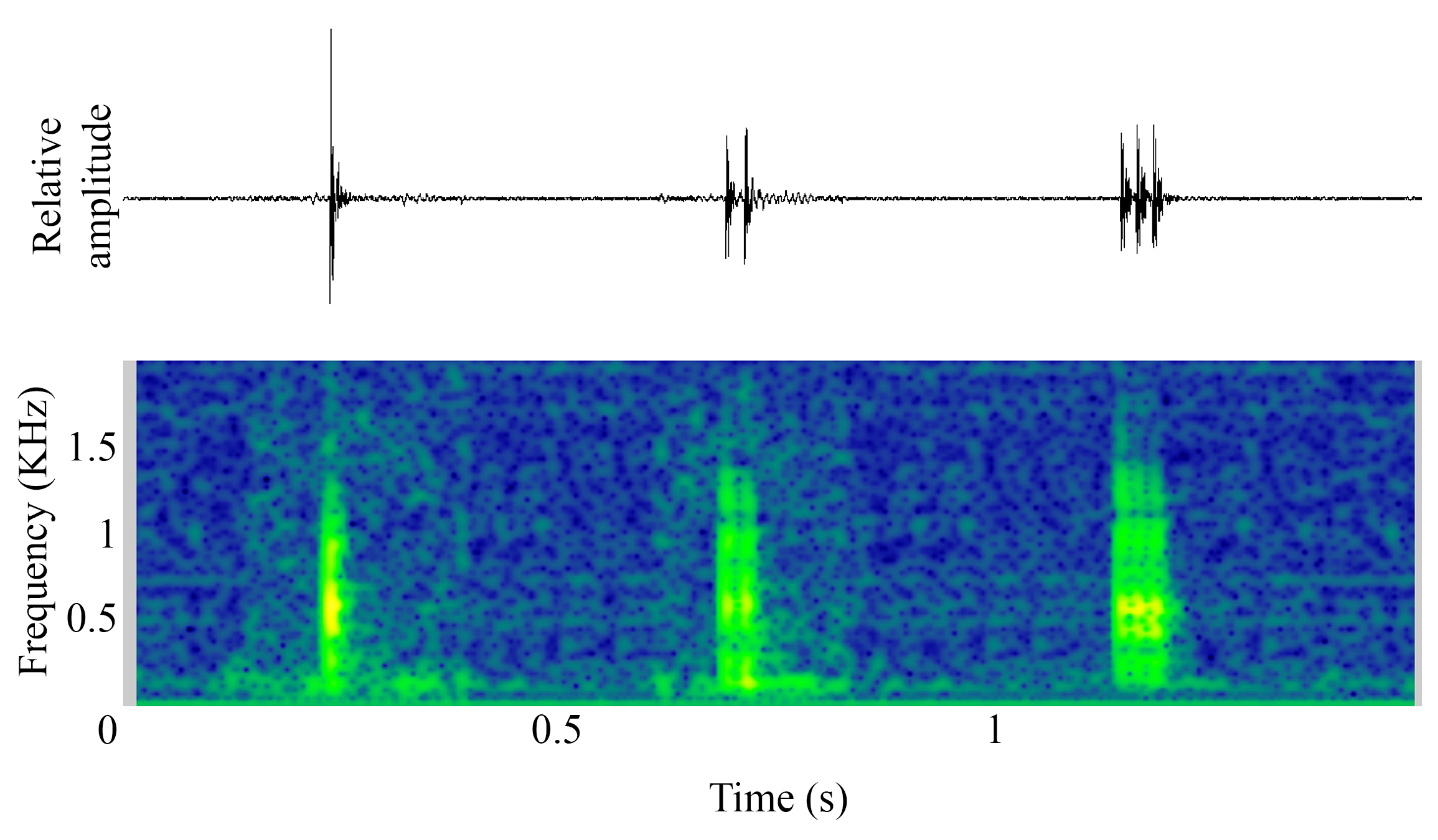 spectrogram of <i>Argyrosomus regius</i> (Meagre) making the sound Pulse