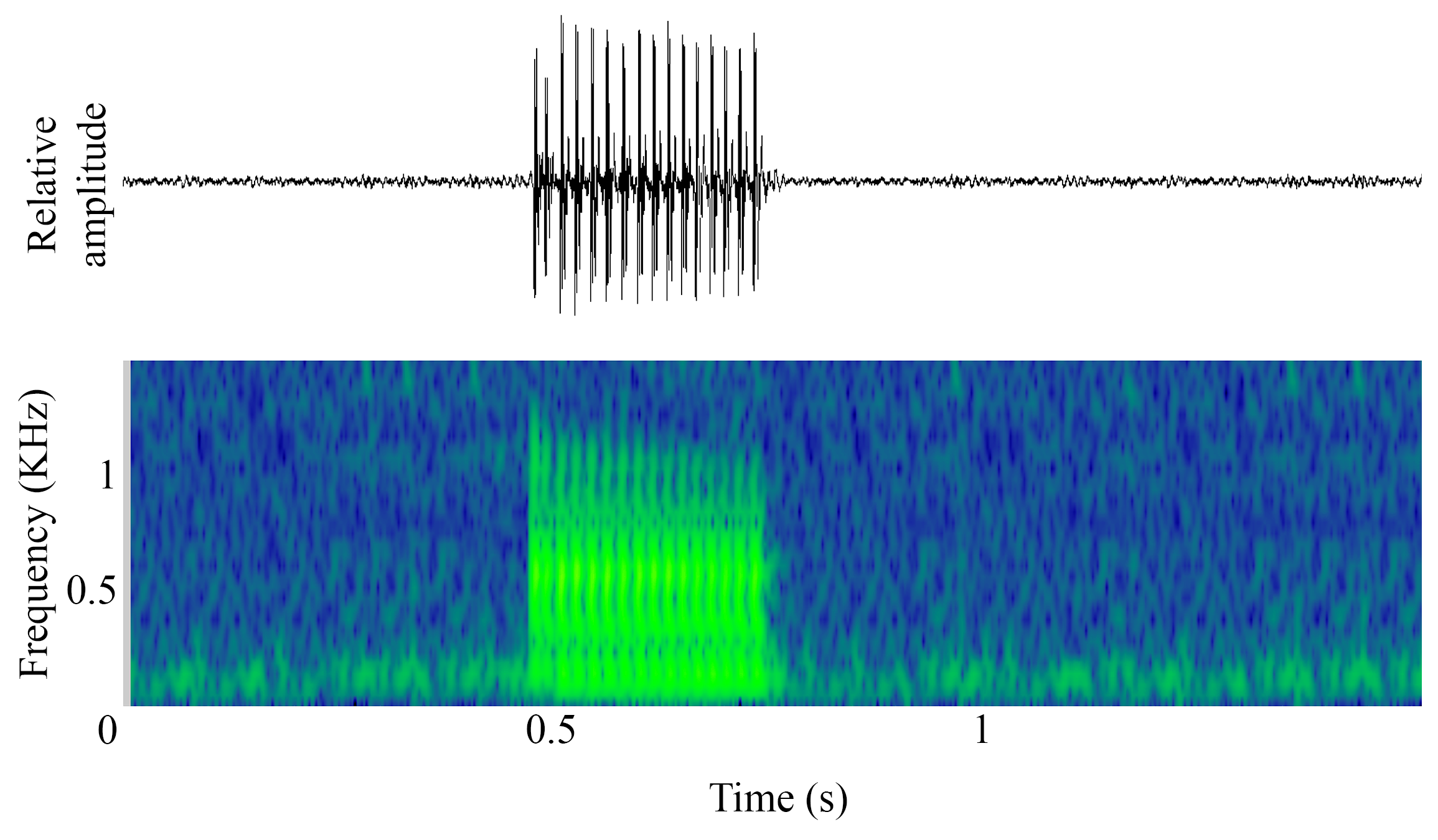 spectrogram of <i>Argyrosomus regius</i> (Meagre) making the sound Grunt