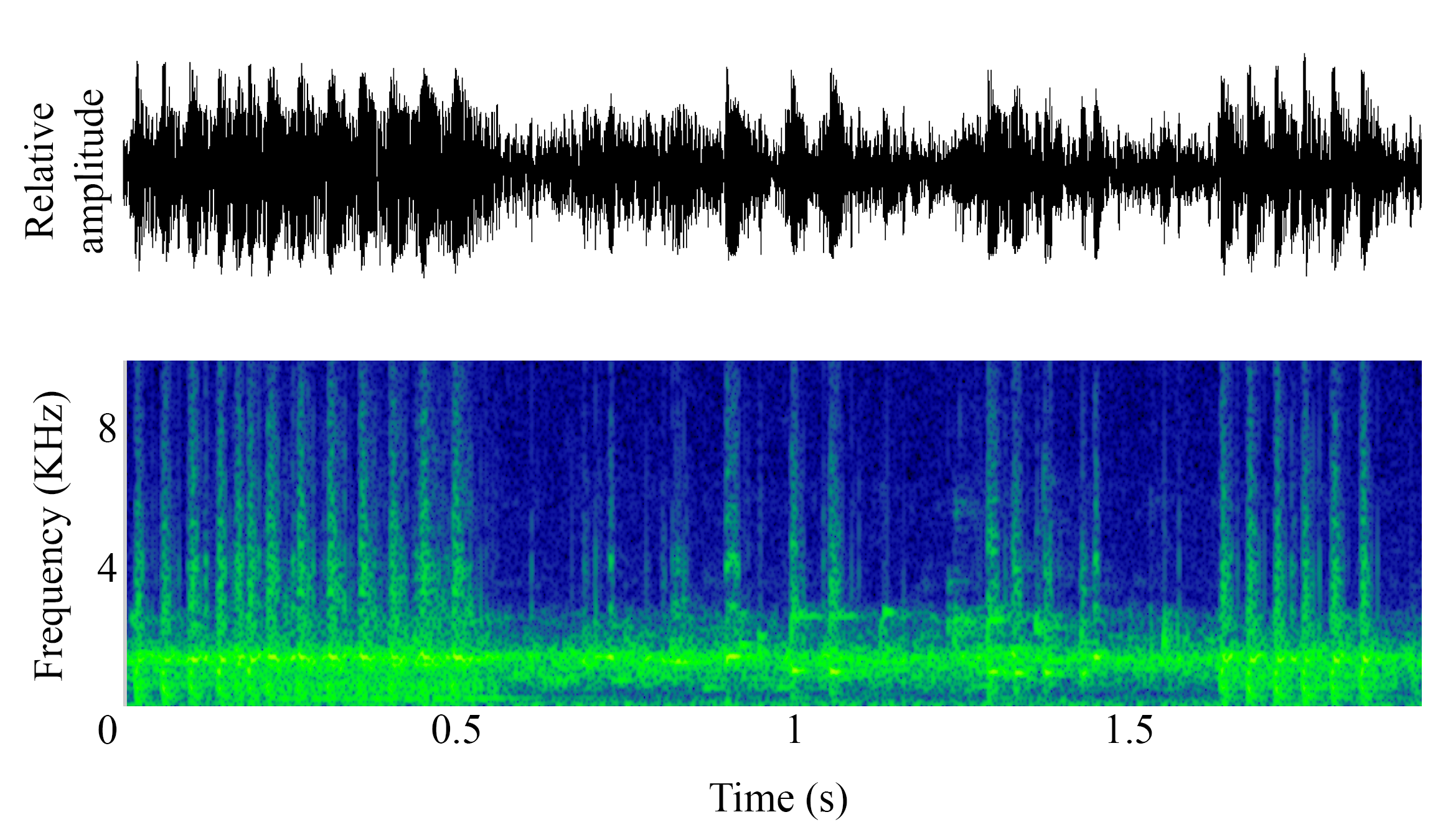 spectrogram of <i>Ophidion marginatum</i> (Striped cusk-eel) making the sound Jackhammer