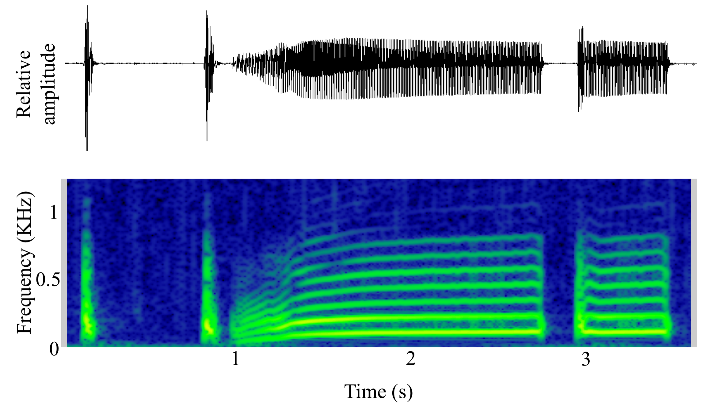 spectrogram of <i>Amphichthys cryptocentrus</i> (Bocon toadfish) making the sound Boop; Grunt; Swoop
