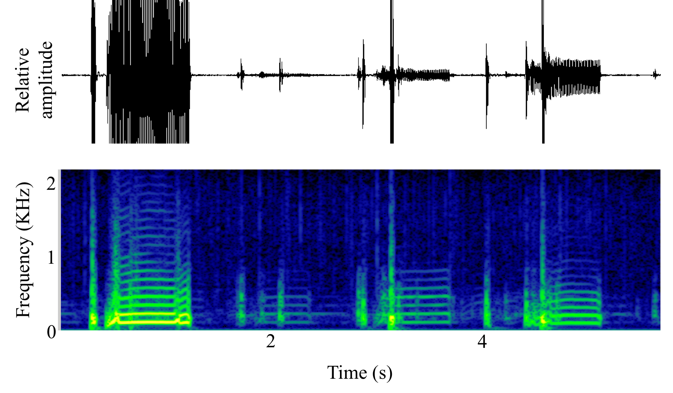 spectrogram of <i>Amphichthys cryptocentrus</i> (Bocon toadfish) making the sound Boop; Grunt; Tag