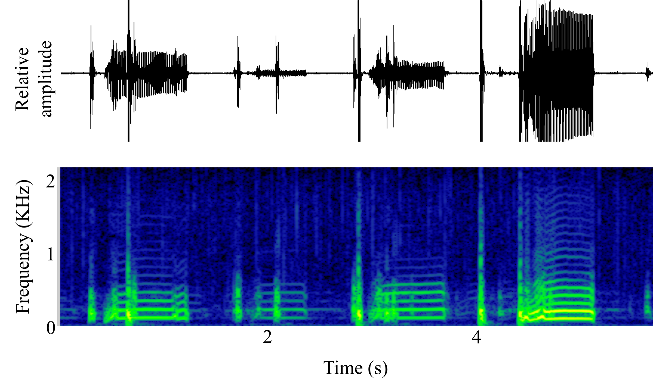 spectrogram of <i>Amphichthys cryptocentrus</i> (Bocon toadfish) making the sound Boop; Grunt; Tag