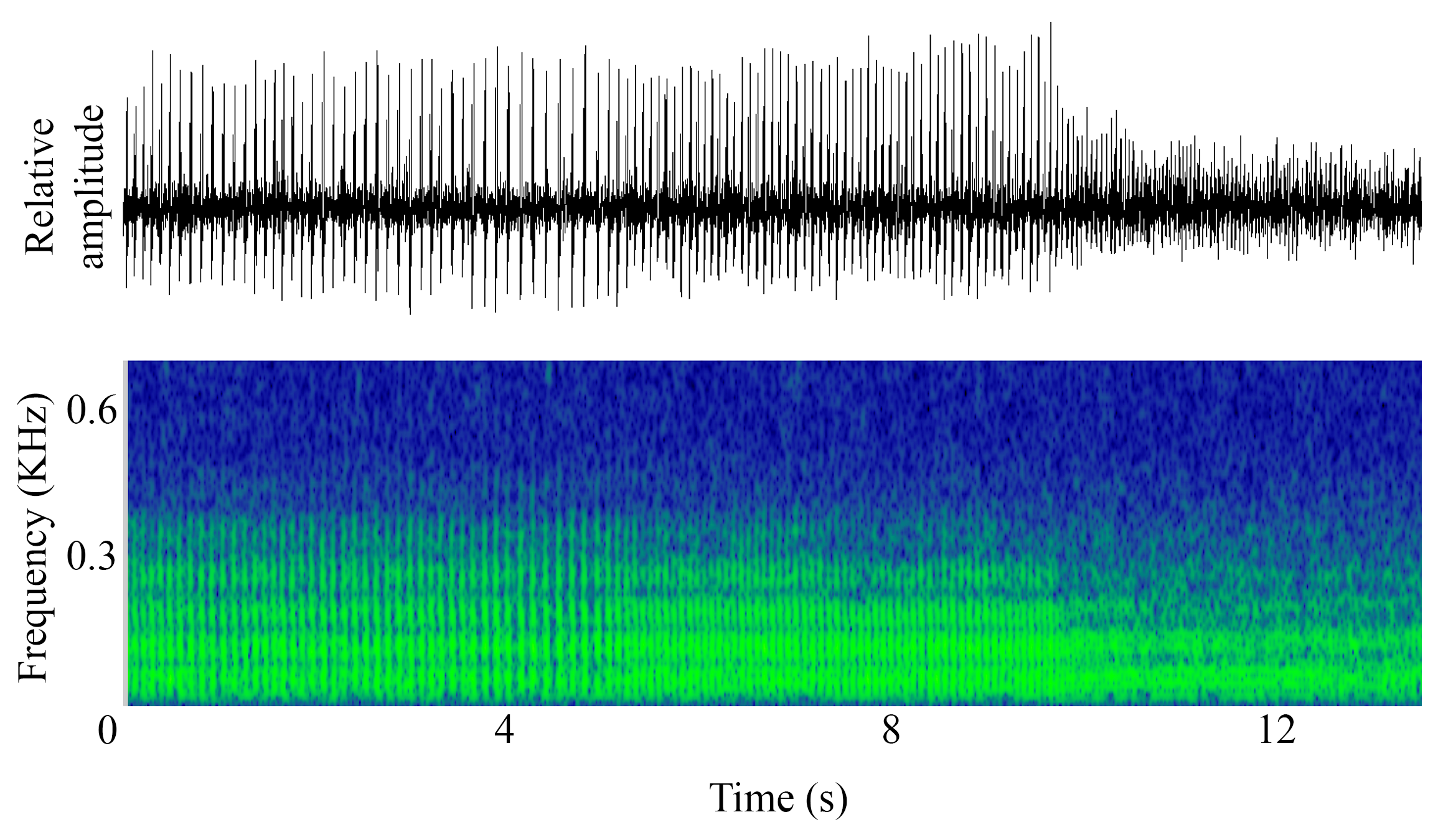 spectrogram of <i>Melanogrammus aeglefinus</i> (Haddock) making the sound Knock