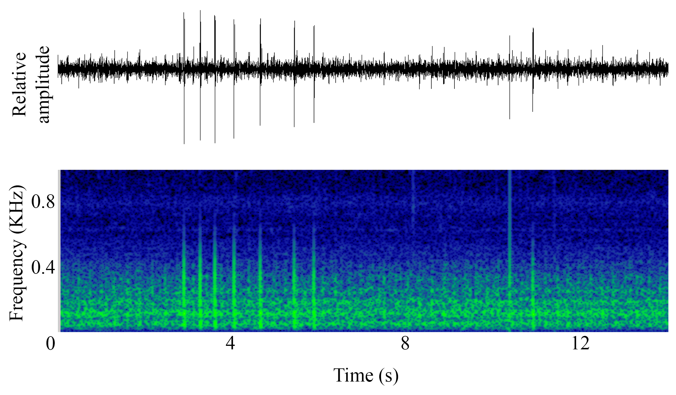 spectrogram of <i>Melanogrammus aeglefinus</i> (Haddock) making the sound Knock; Rumble