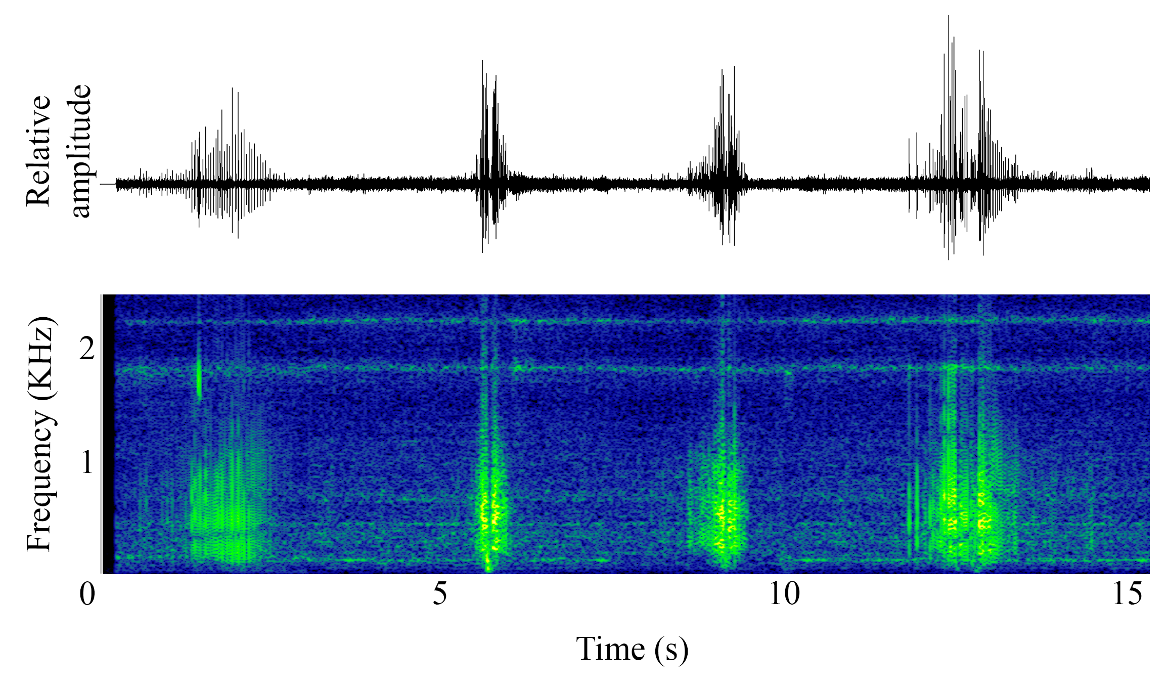 spectrogram of <i>Chelidonichthys lastoviza</i> (Streaked gurnard) making the sound Growl