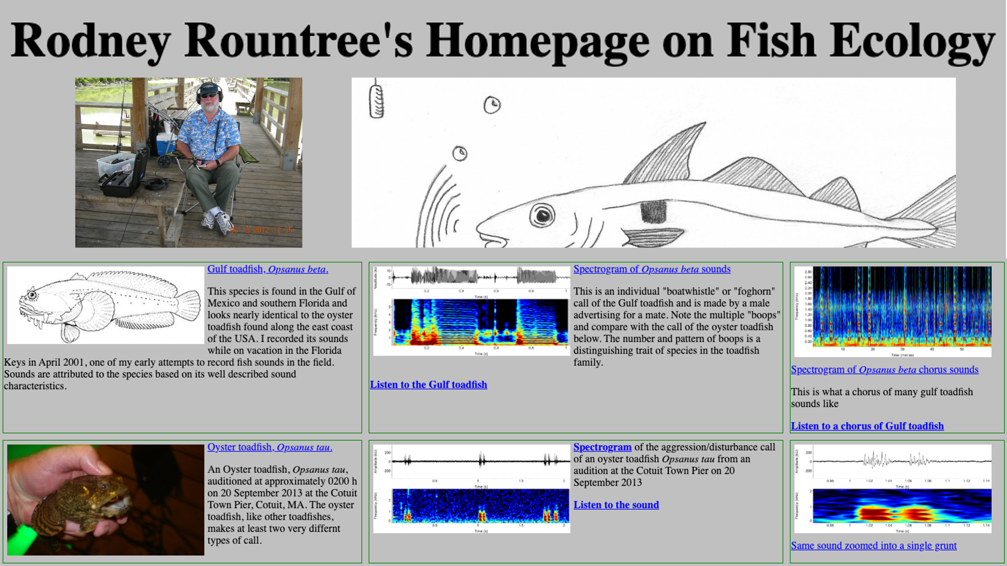 logo of Rodney Rountree's Studies on Soniferous Fishes